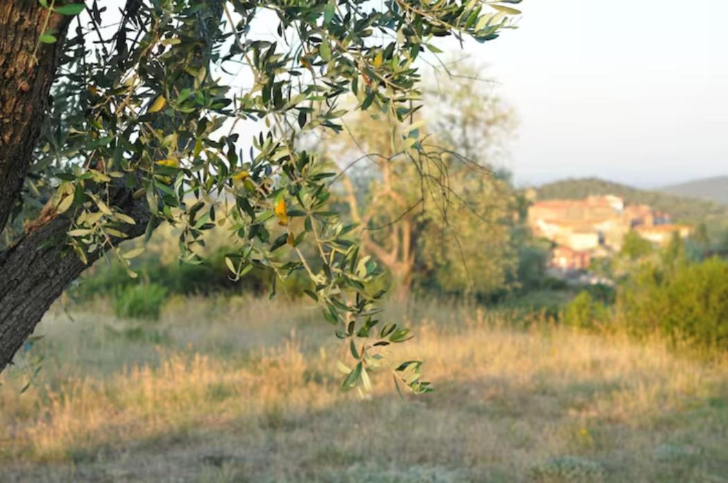 Agriturismo Poggio Falco Batignano view 5