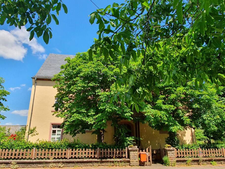 Helle Ferienwohnung - Südeifel