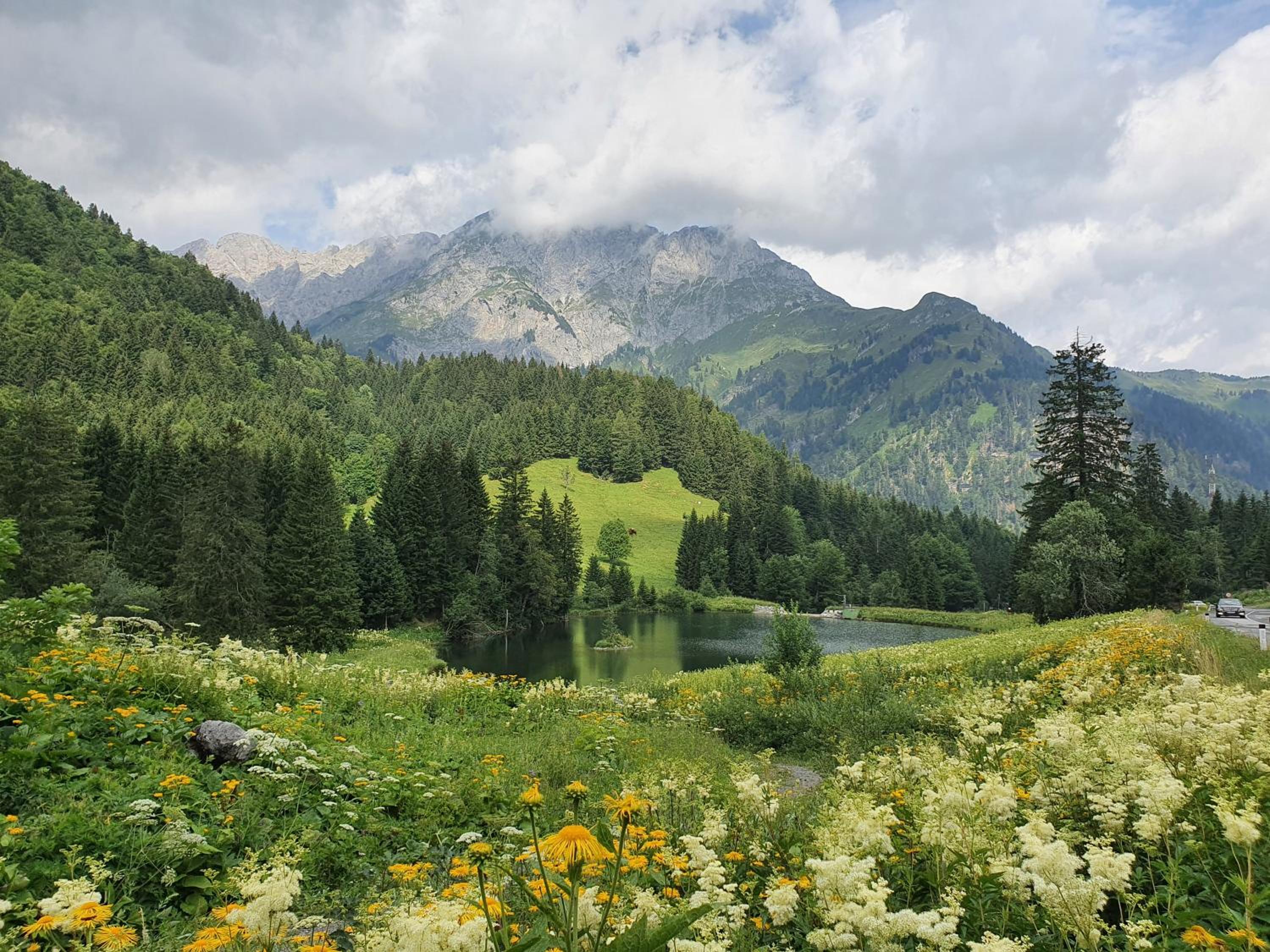 Alpensuss