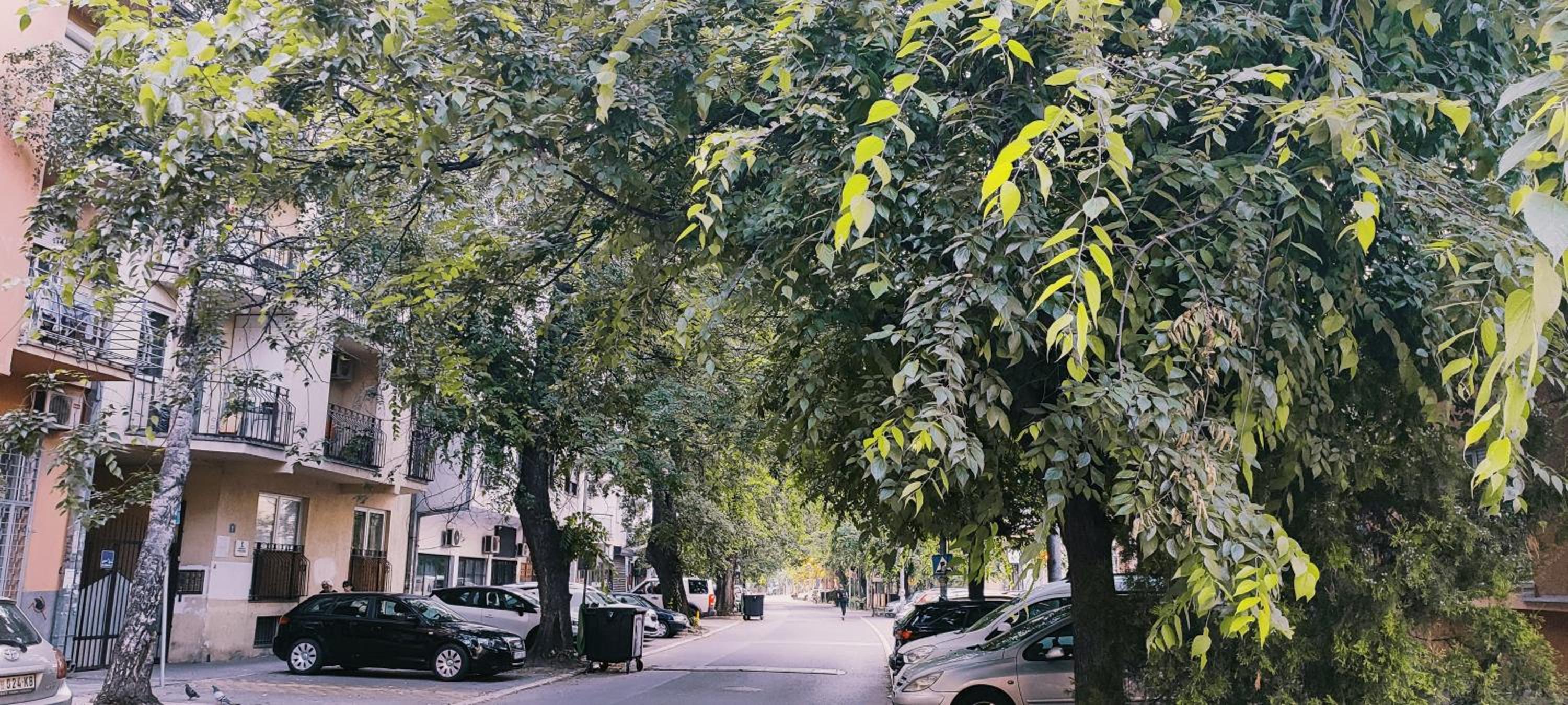 parking