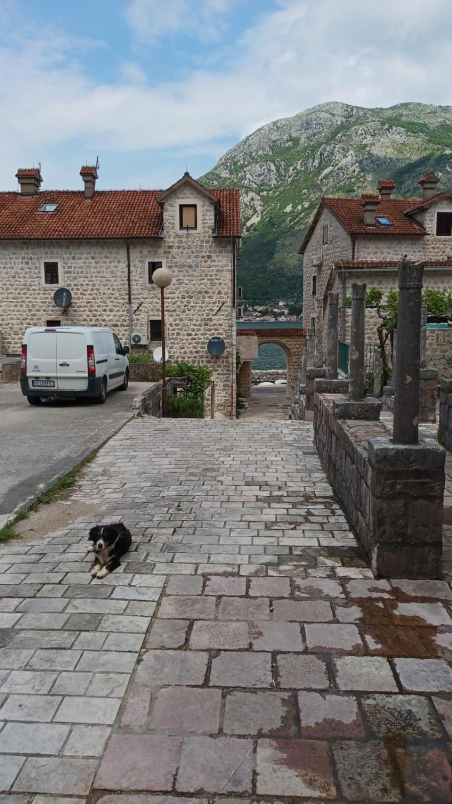 Photo 27