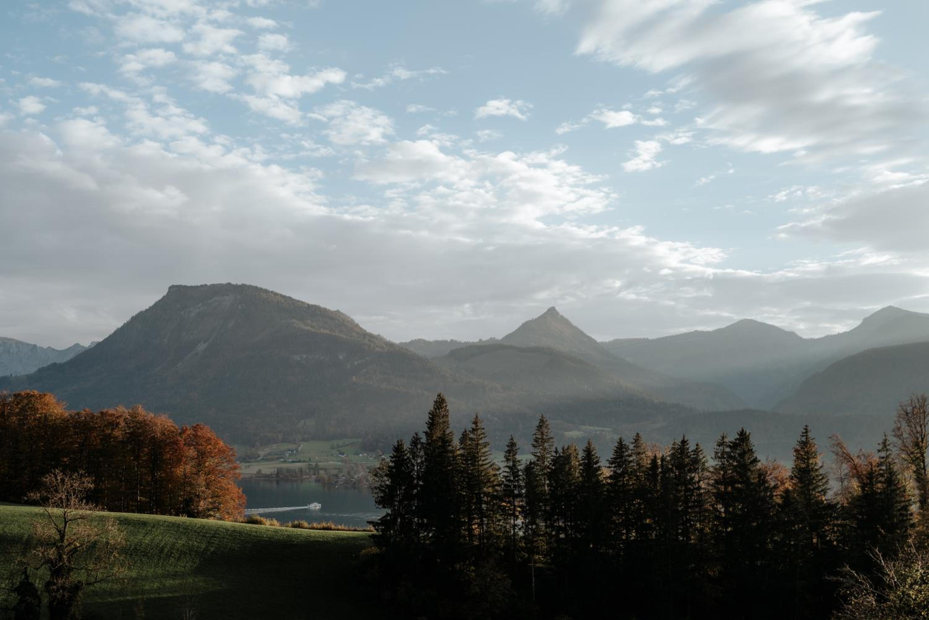 AuerHias