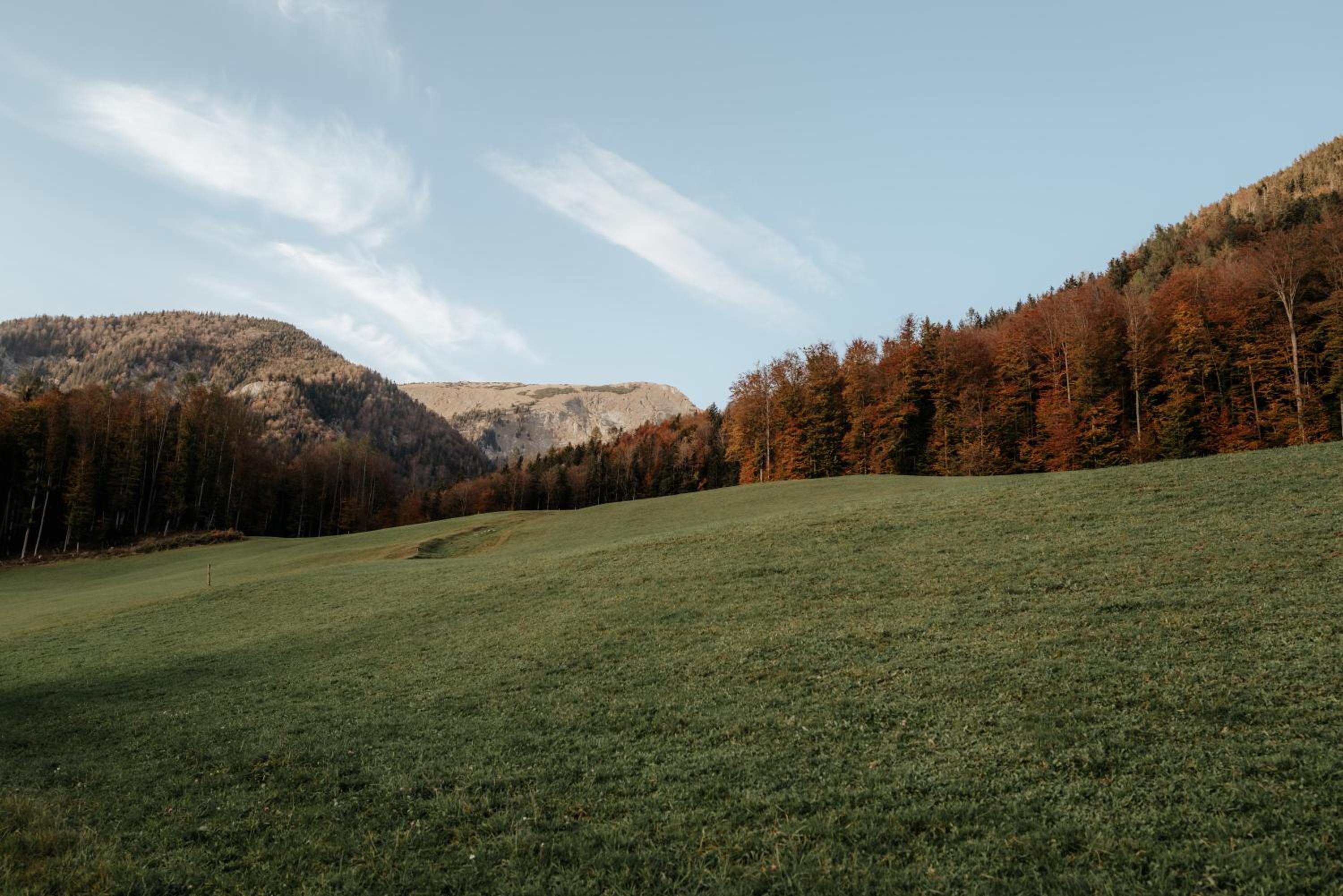 AuerHias