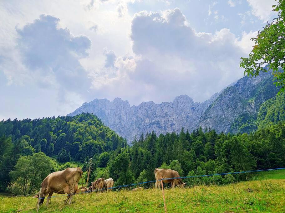 Happy Guest Apartments - Alpin Vista Colere view 5