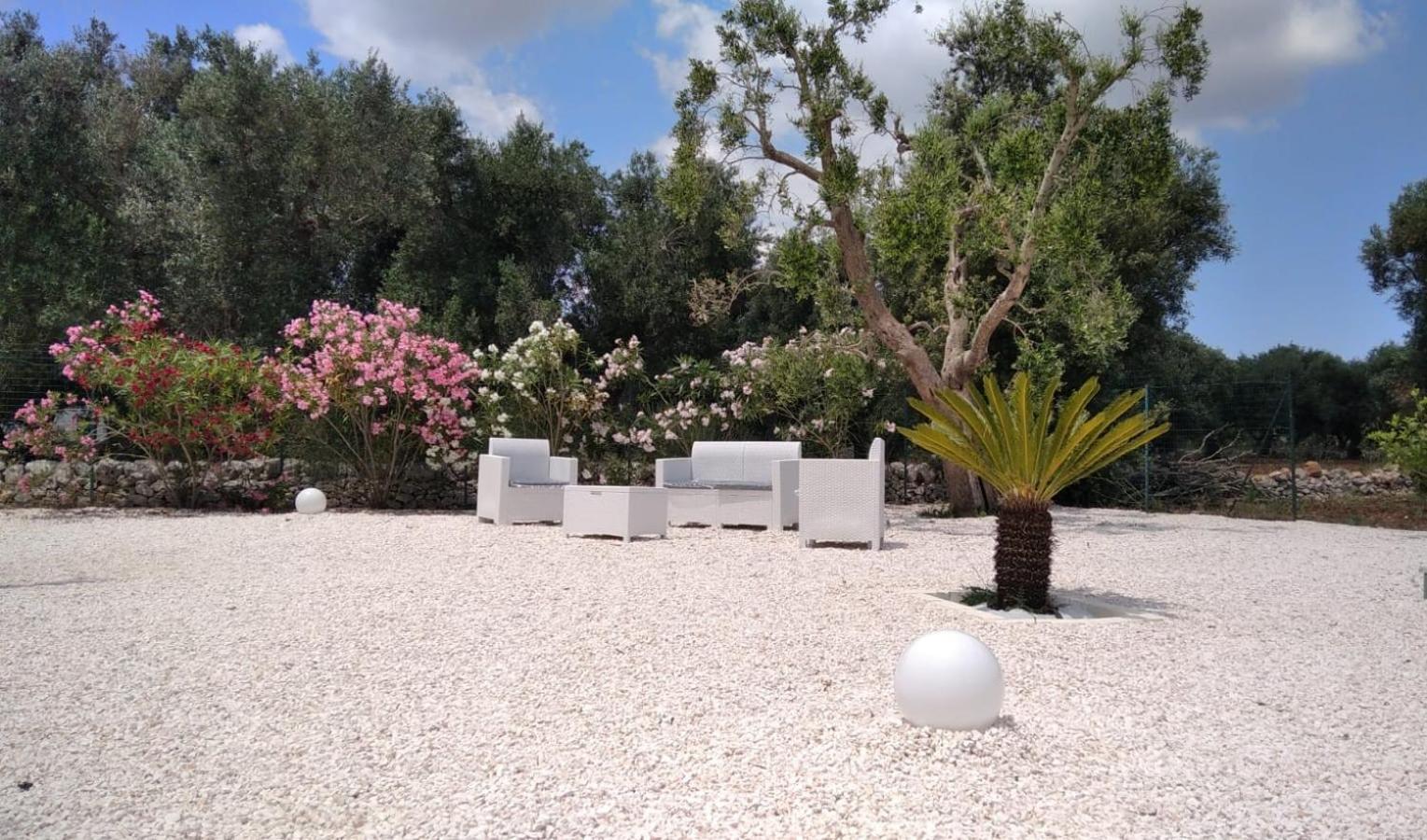 Trullo Bianco Ulivo view 5