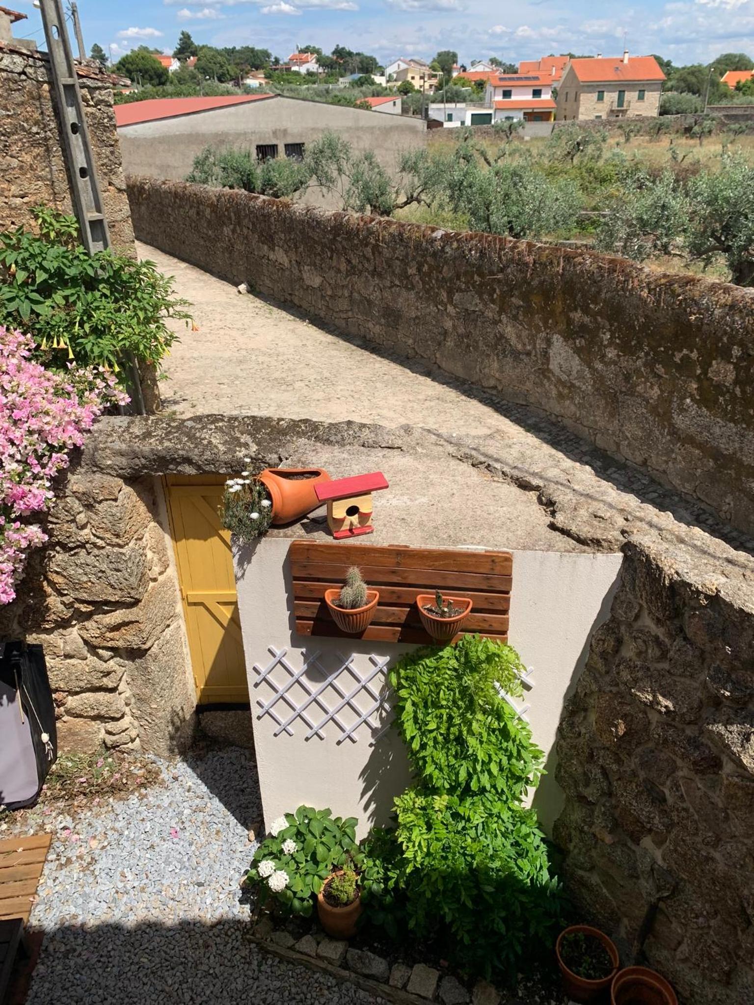 Encanto Casa com Spa Jacuzzi Open Space Castelo Branco