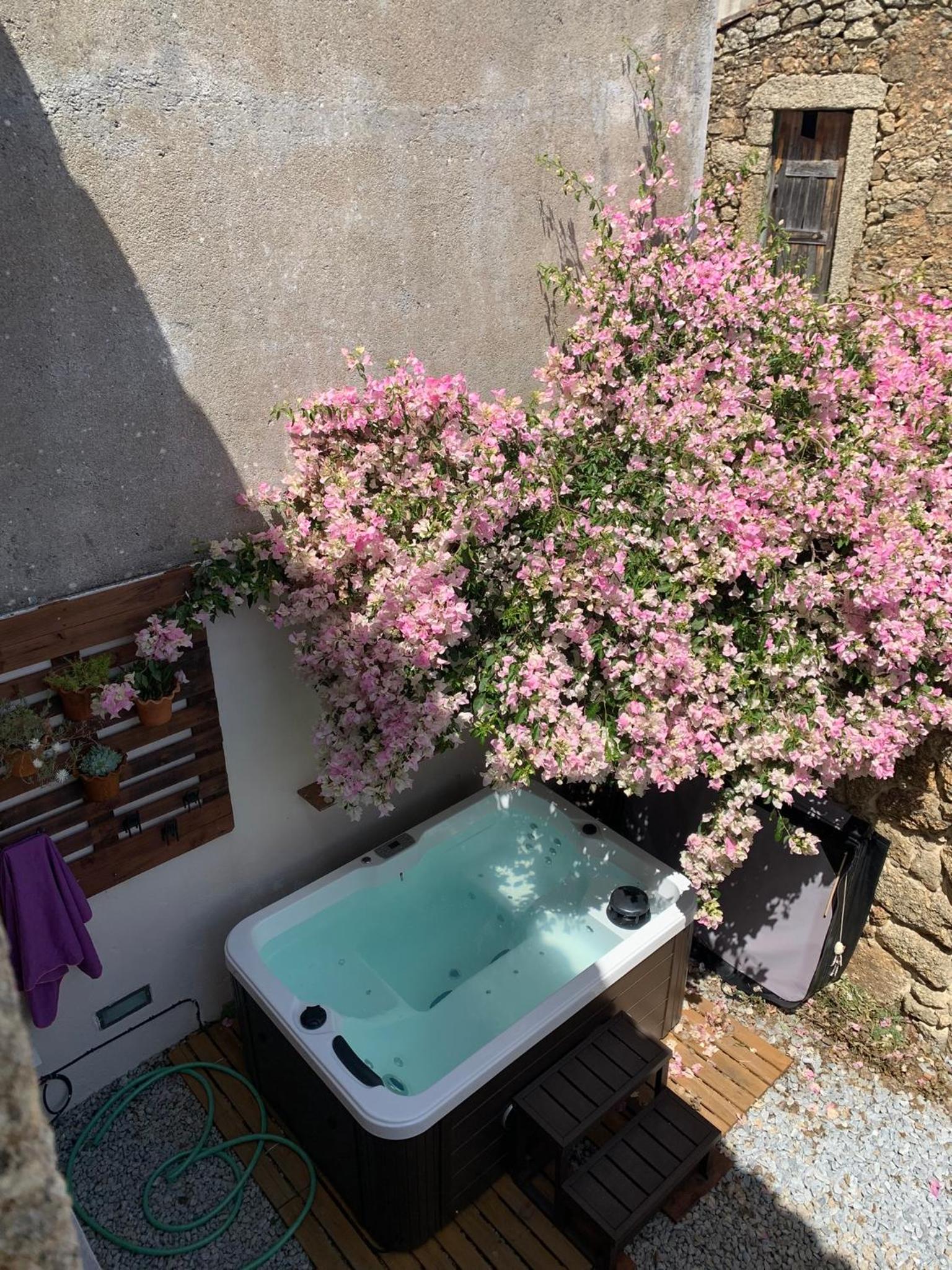 Encanto Casa com Spa Jacuzzi Open Space Castelo Branco
