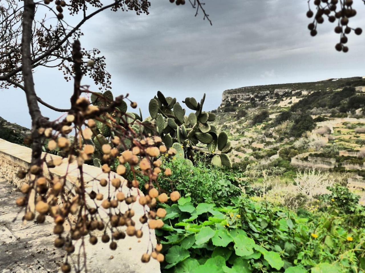 Gozo Entire Villa with Large Pool Sea and Country Views