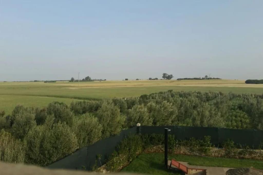 Photo 33