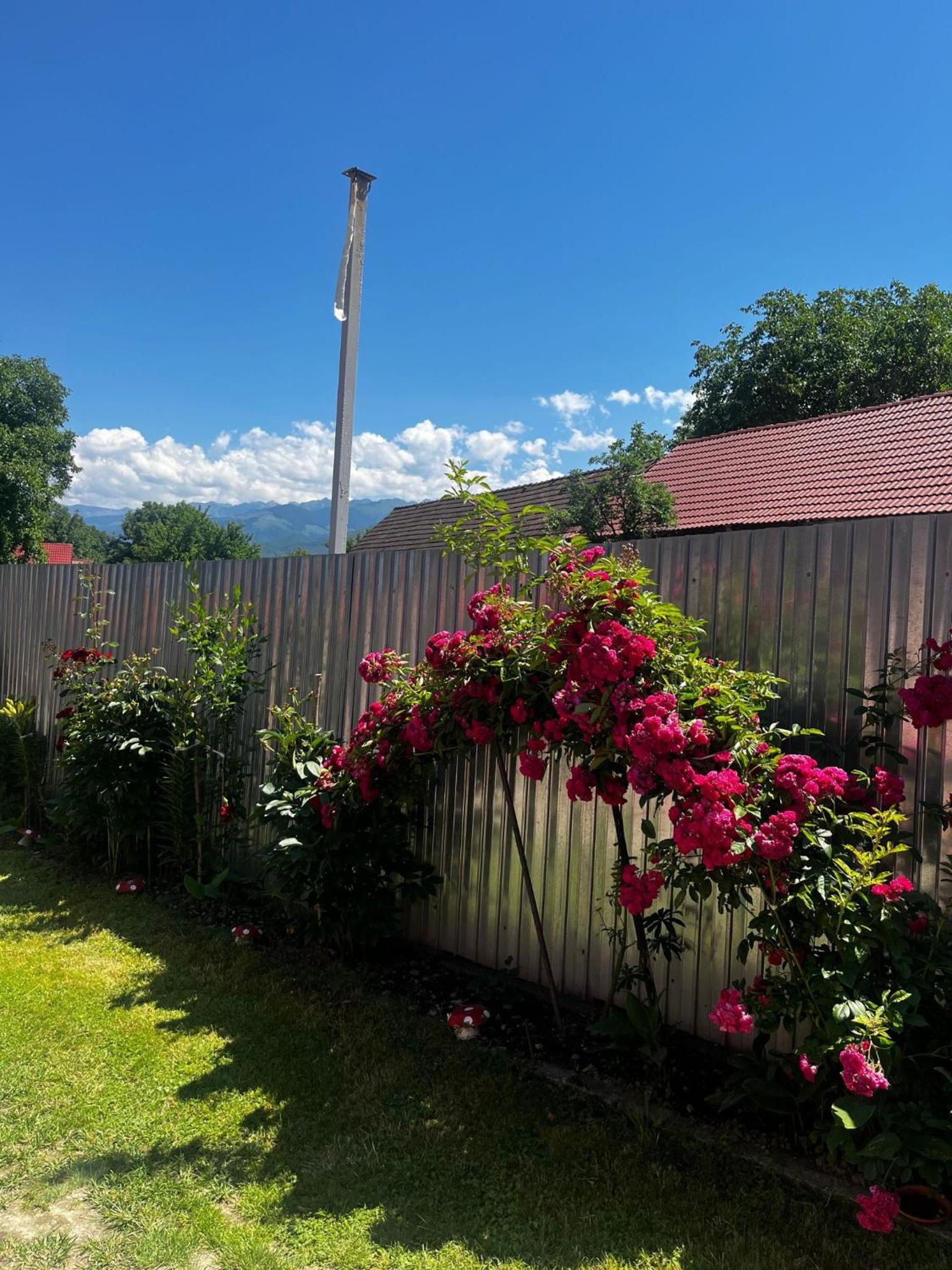 CASA ANDREI view 4