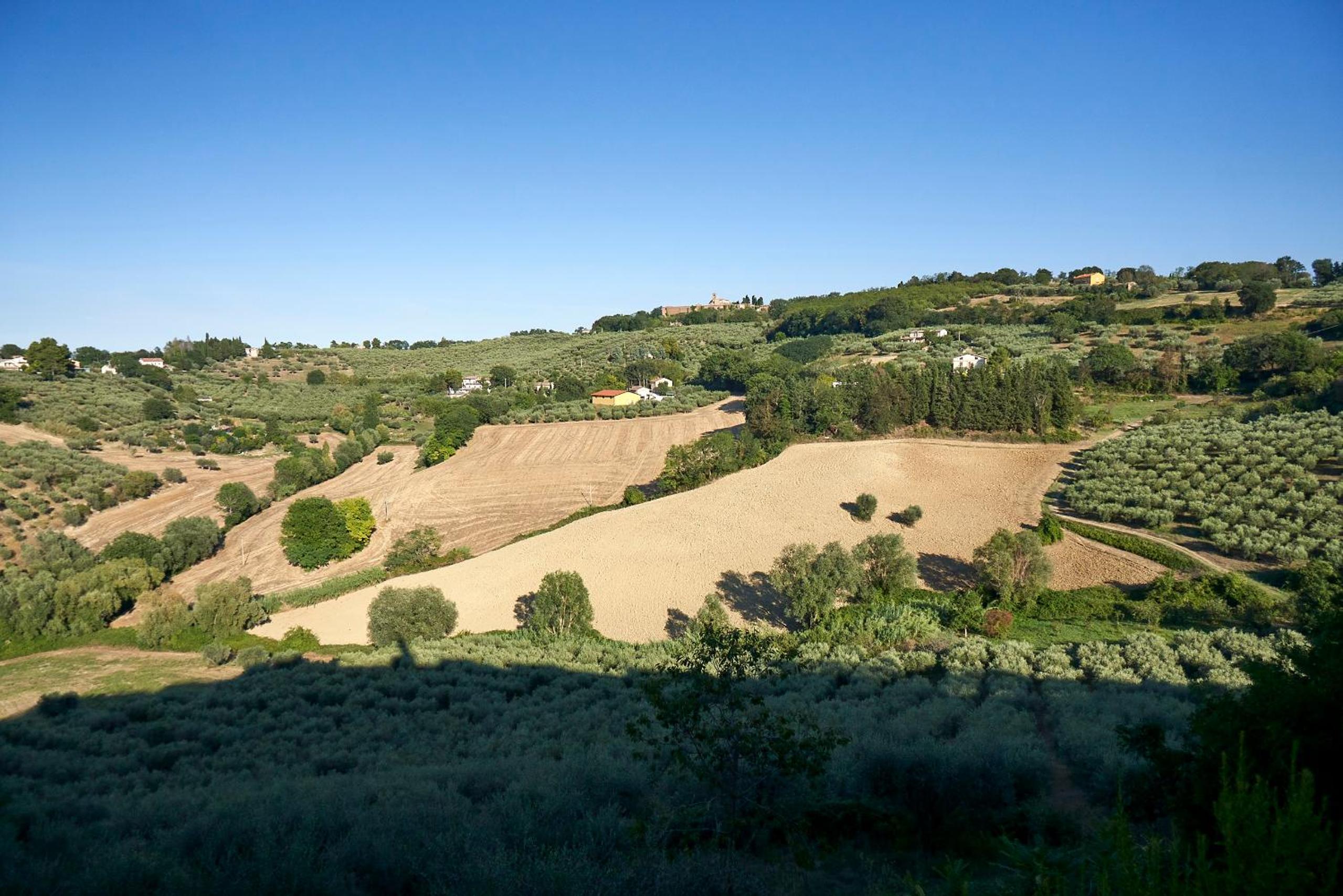 Villa Cartoceto
