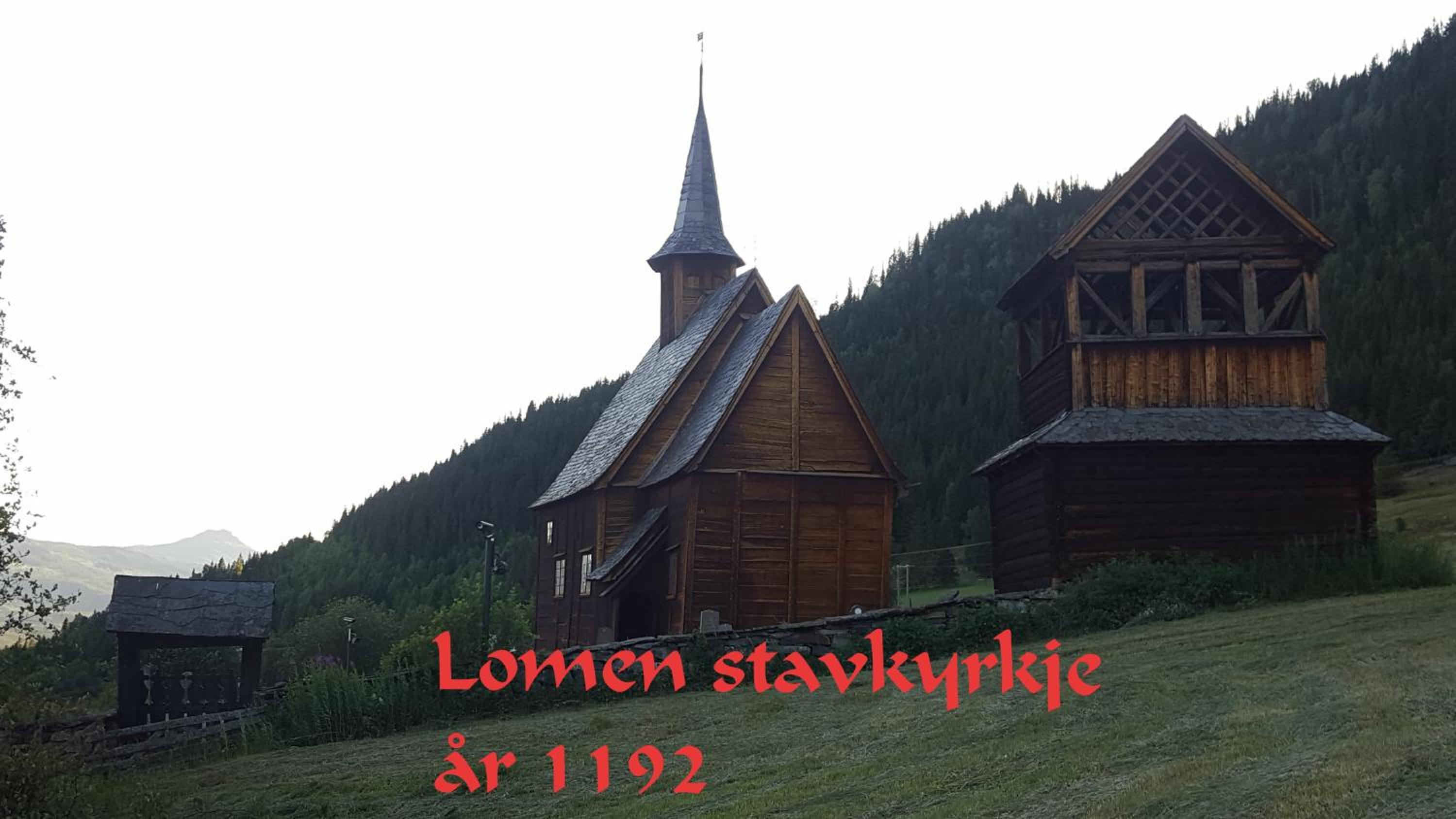 Photo 11