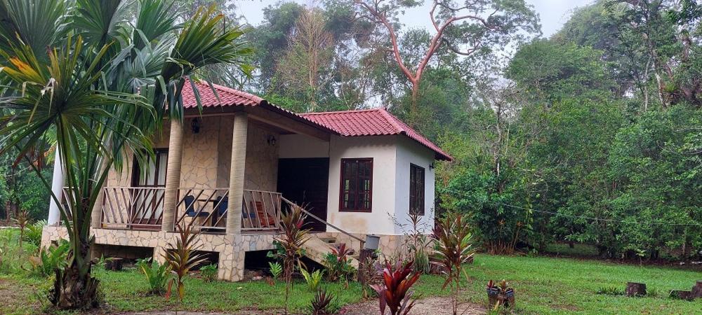Tu Casa en la Selva Lacandona view 2