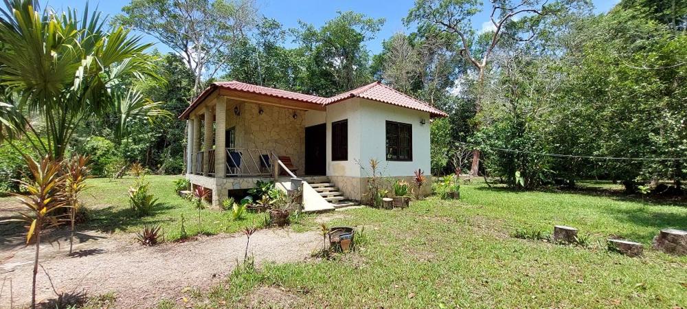 Tu Casa en la Selva Lacandona view 3