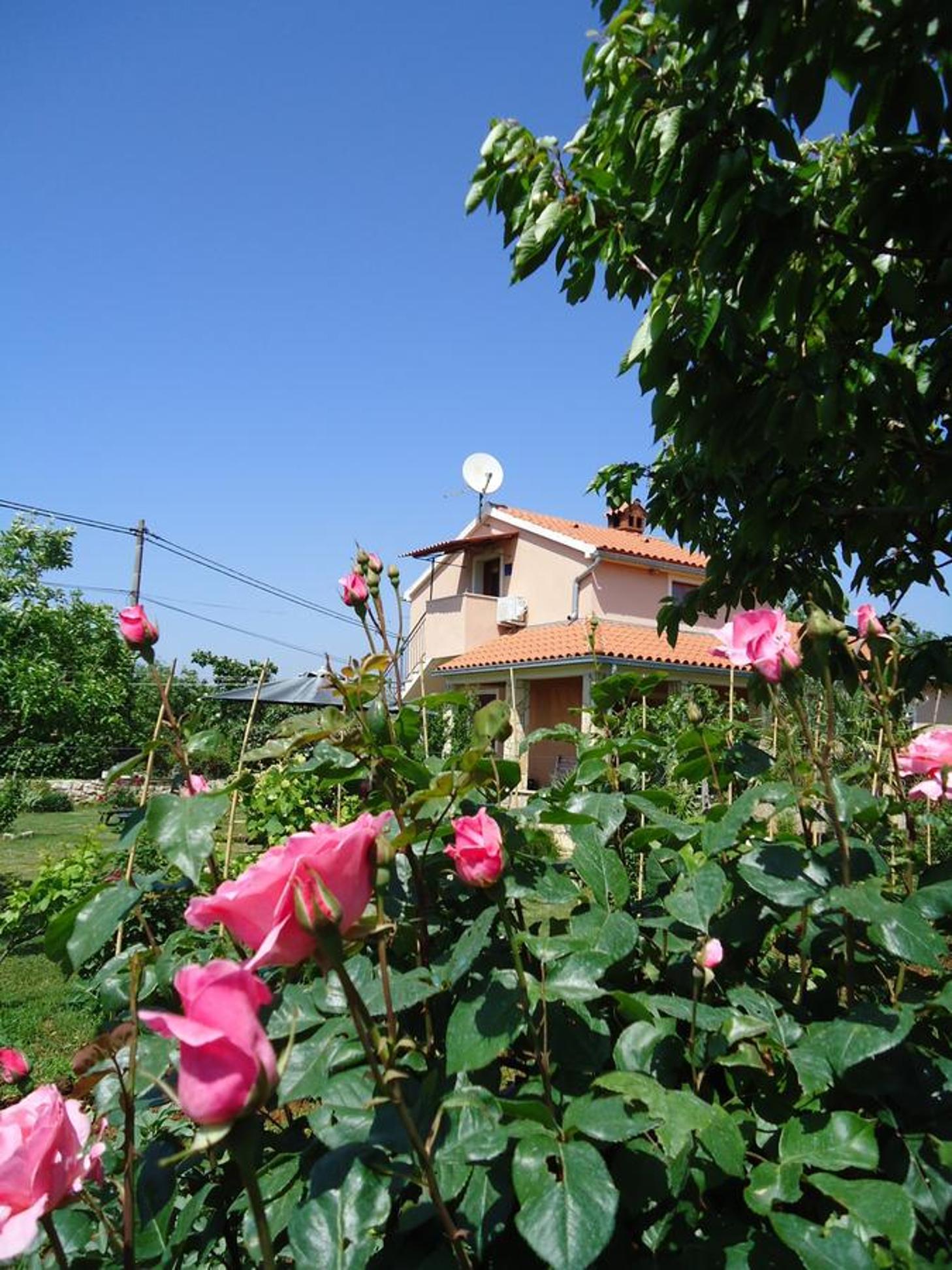 Studio Apartment Nera view 4