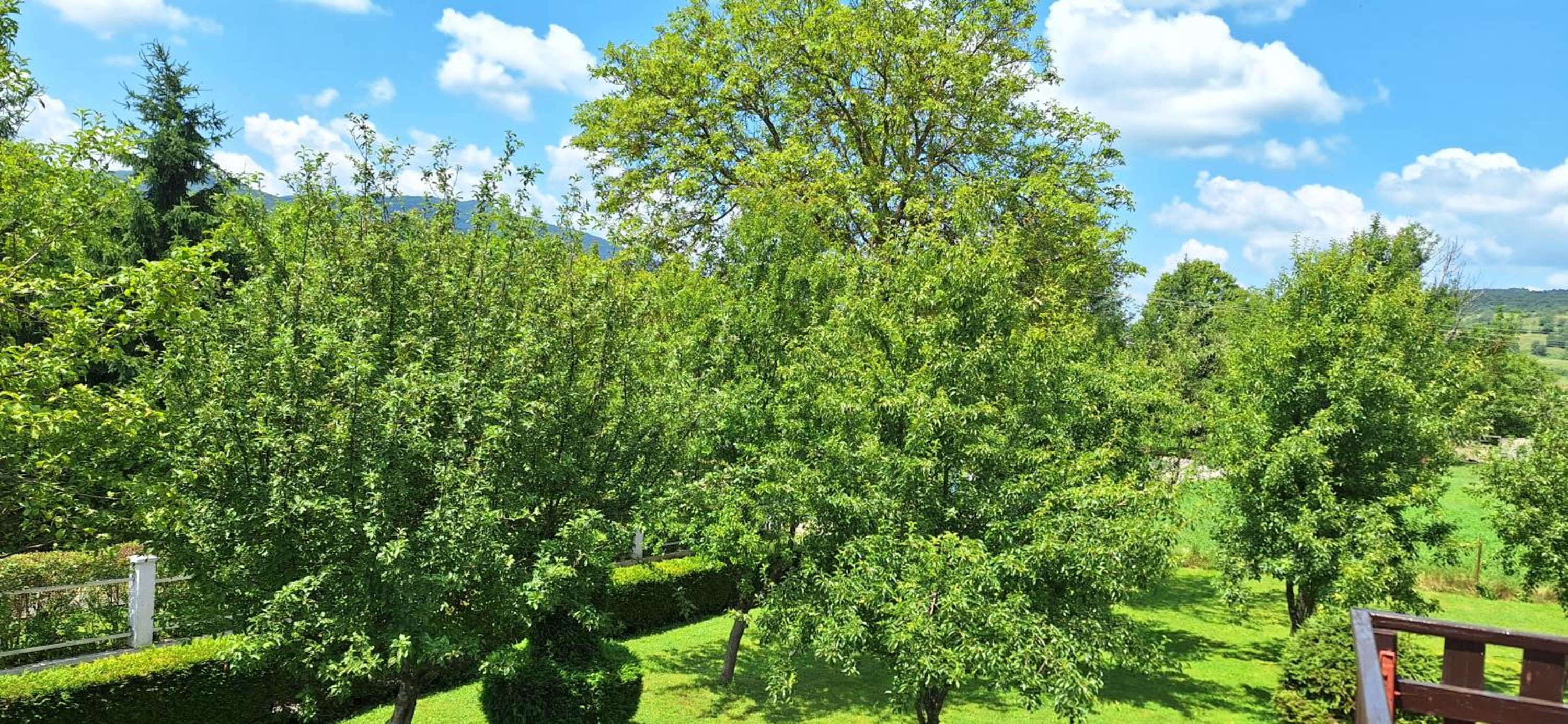 Apartman Marija Brajdic view 2