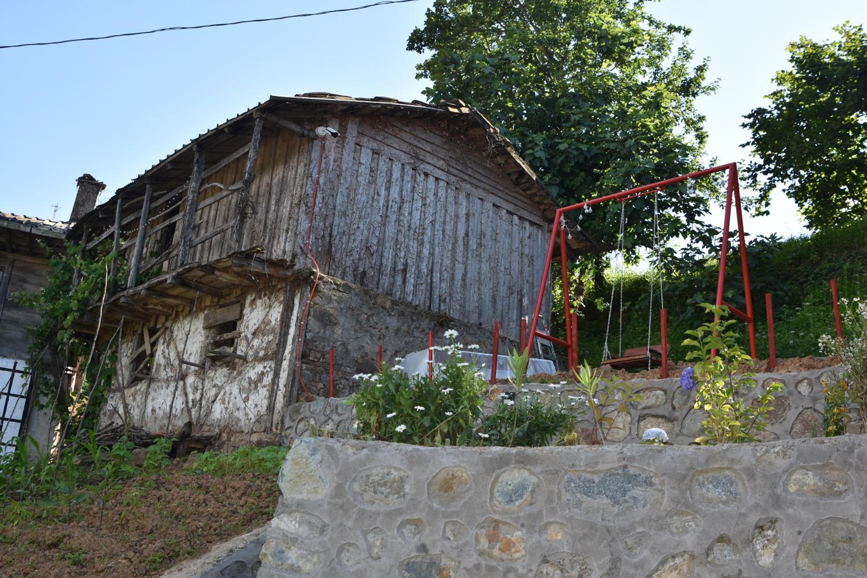 Photo 23