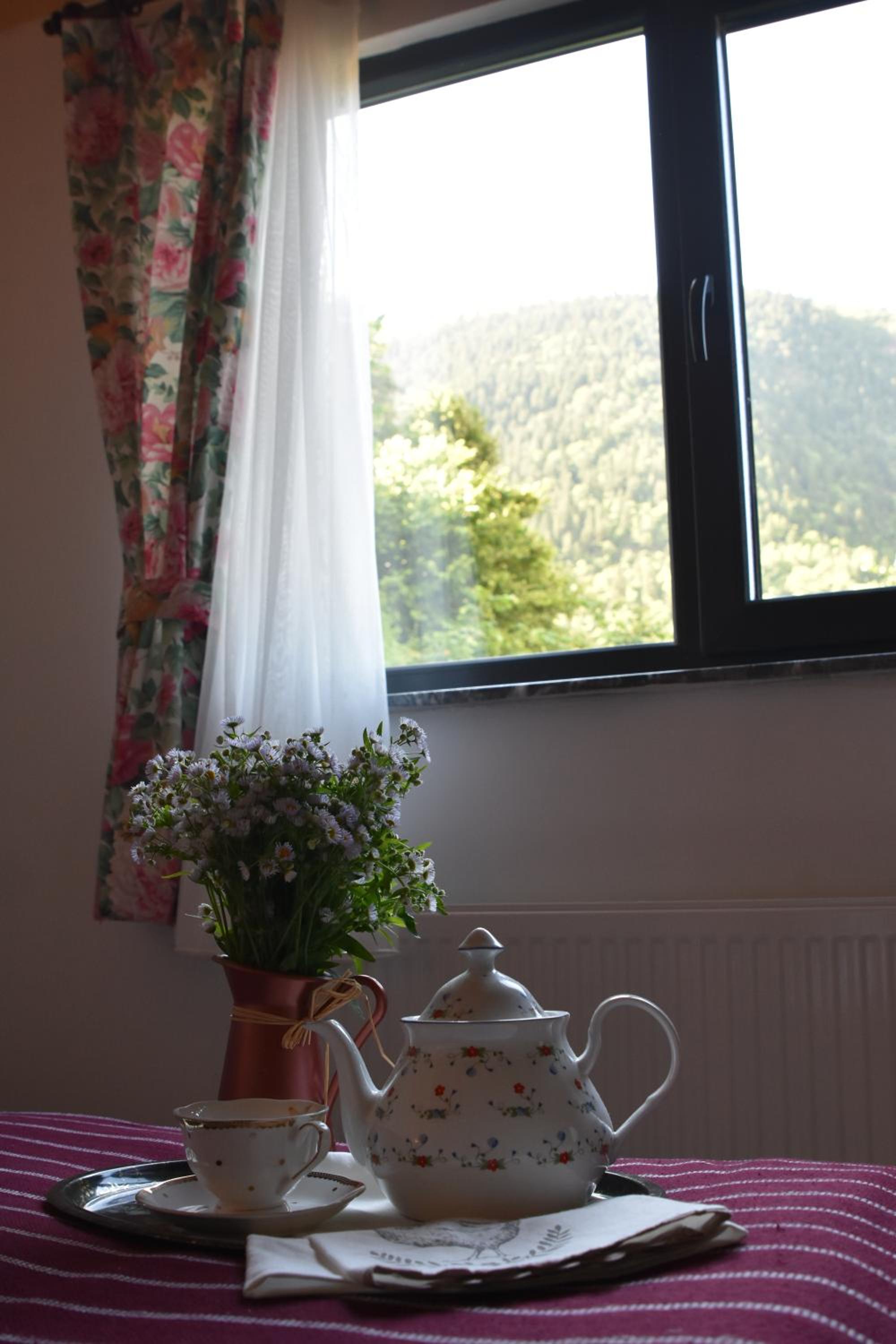 Photo 31