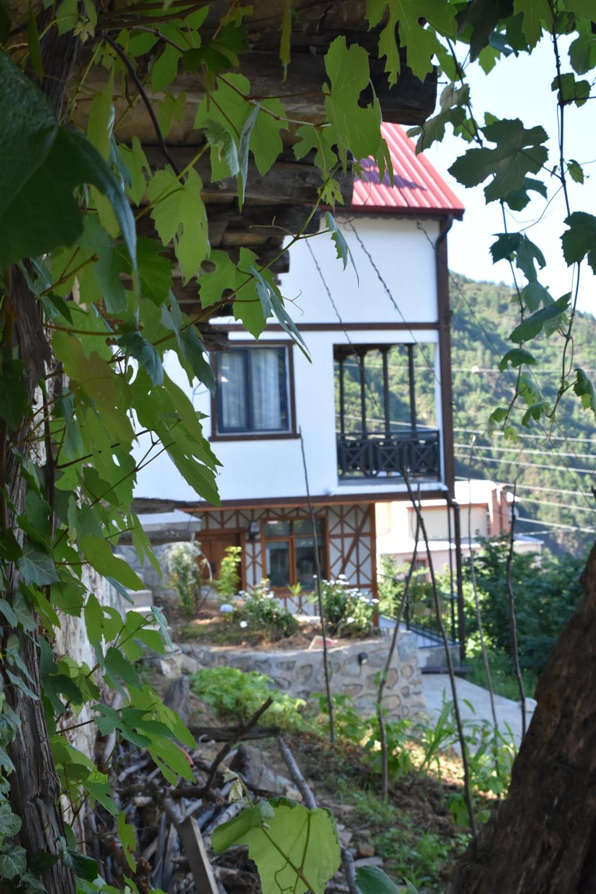 Photo 42