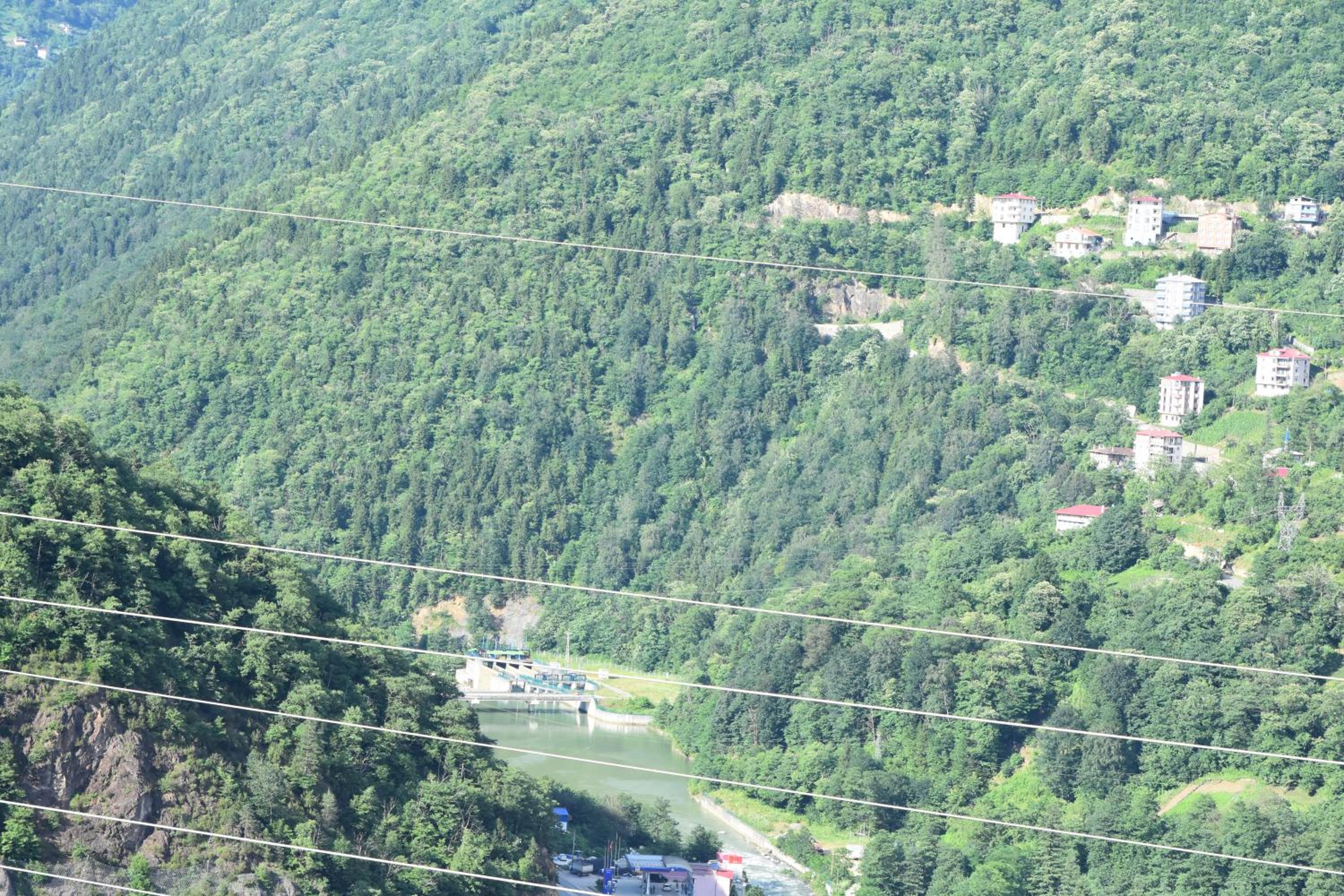 Photo 45