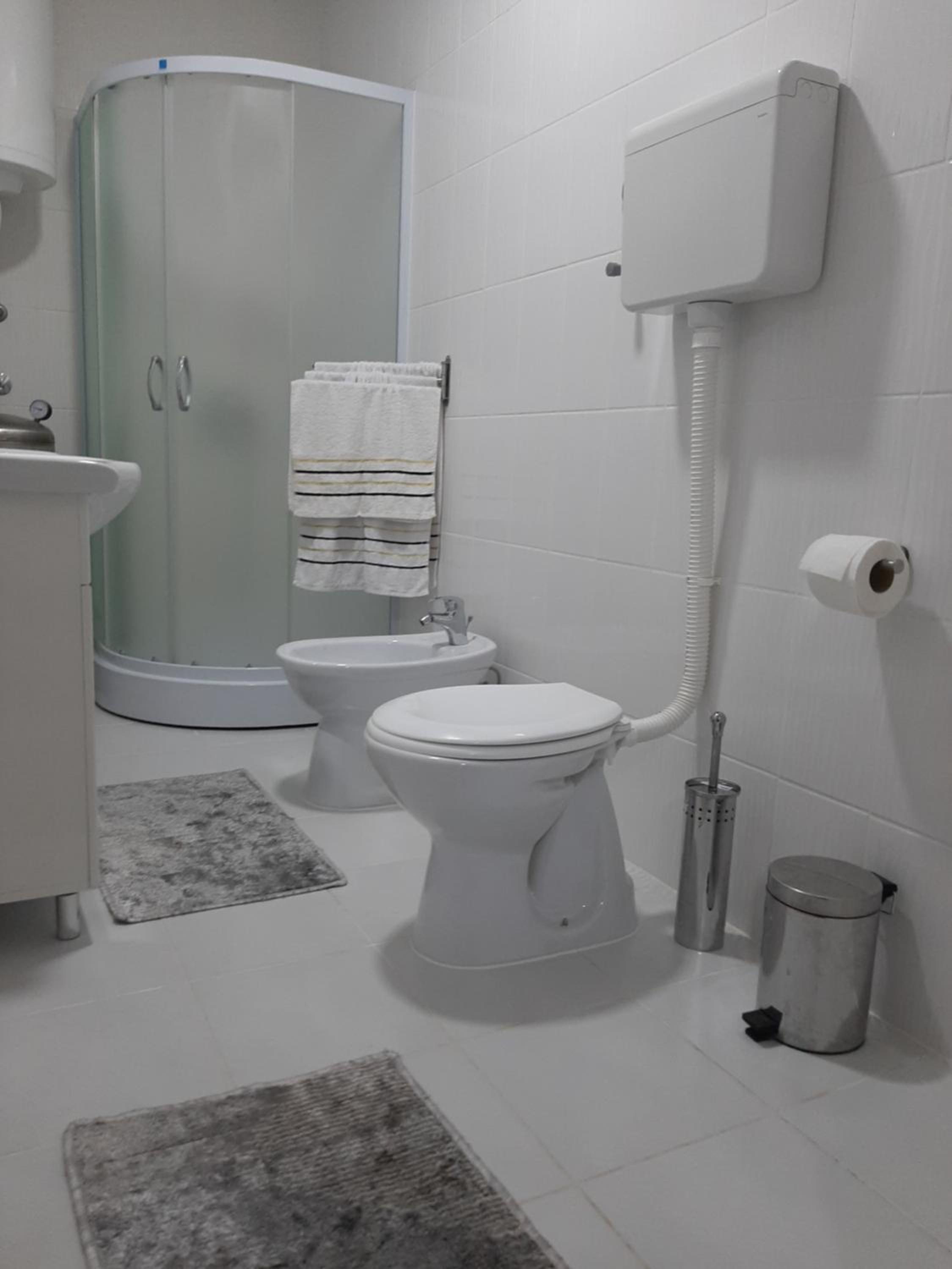 Apartman Milenkovic view 3