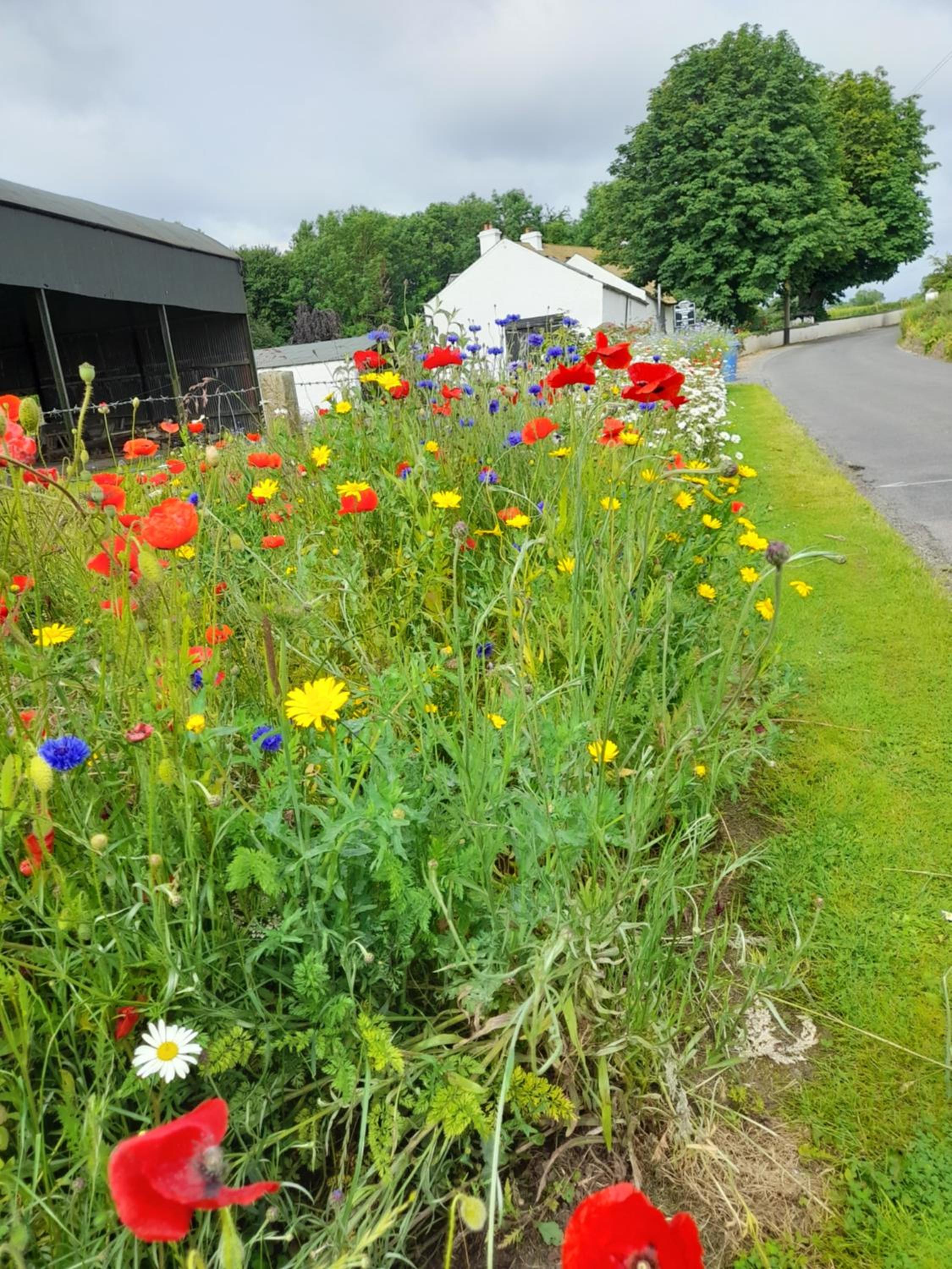 Moira Cottages at Berwickhall Sleeps 8