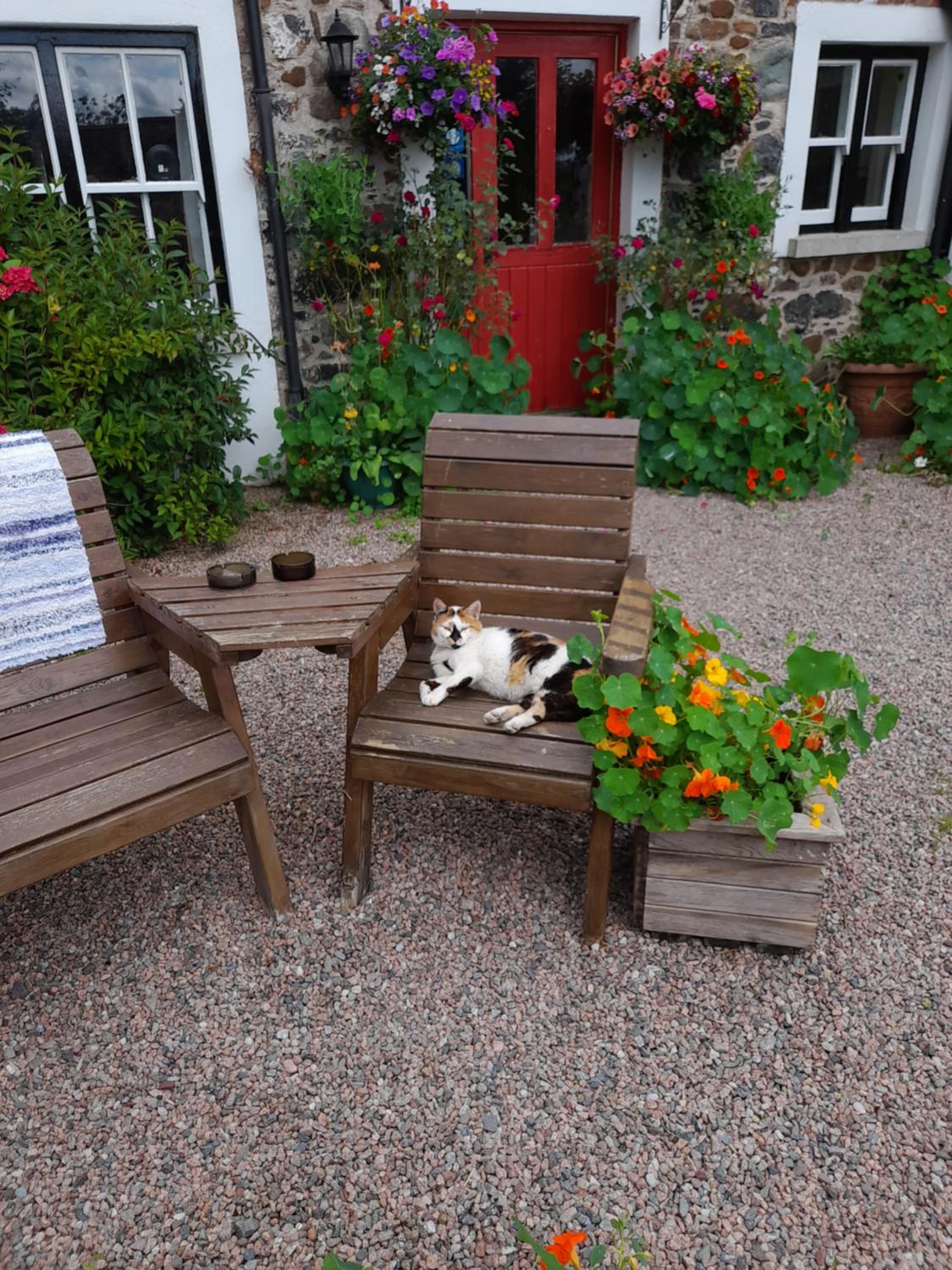 Moira Cottages at Berwickhall Sleeps 8