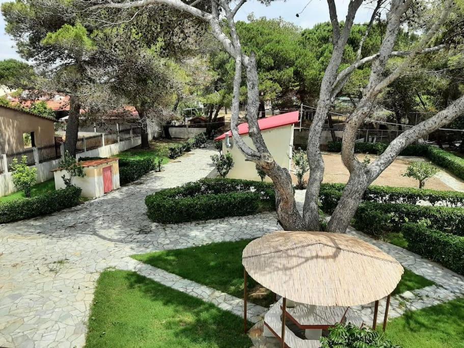 Yannis Villa