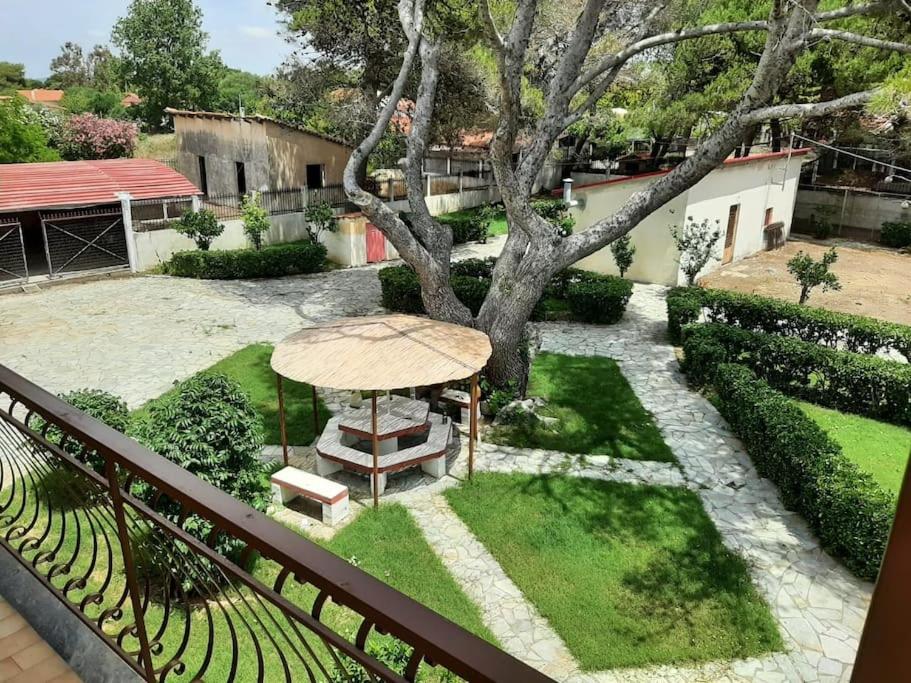 Yannis Villa