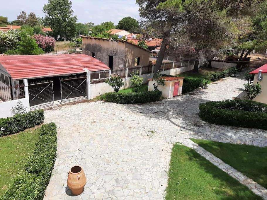 Yannis Villa