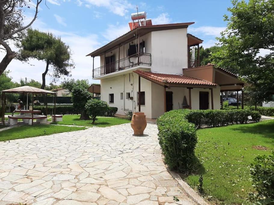 Yannis Villa