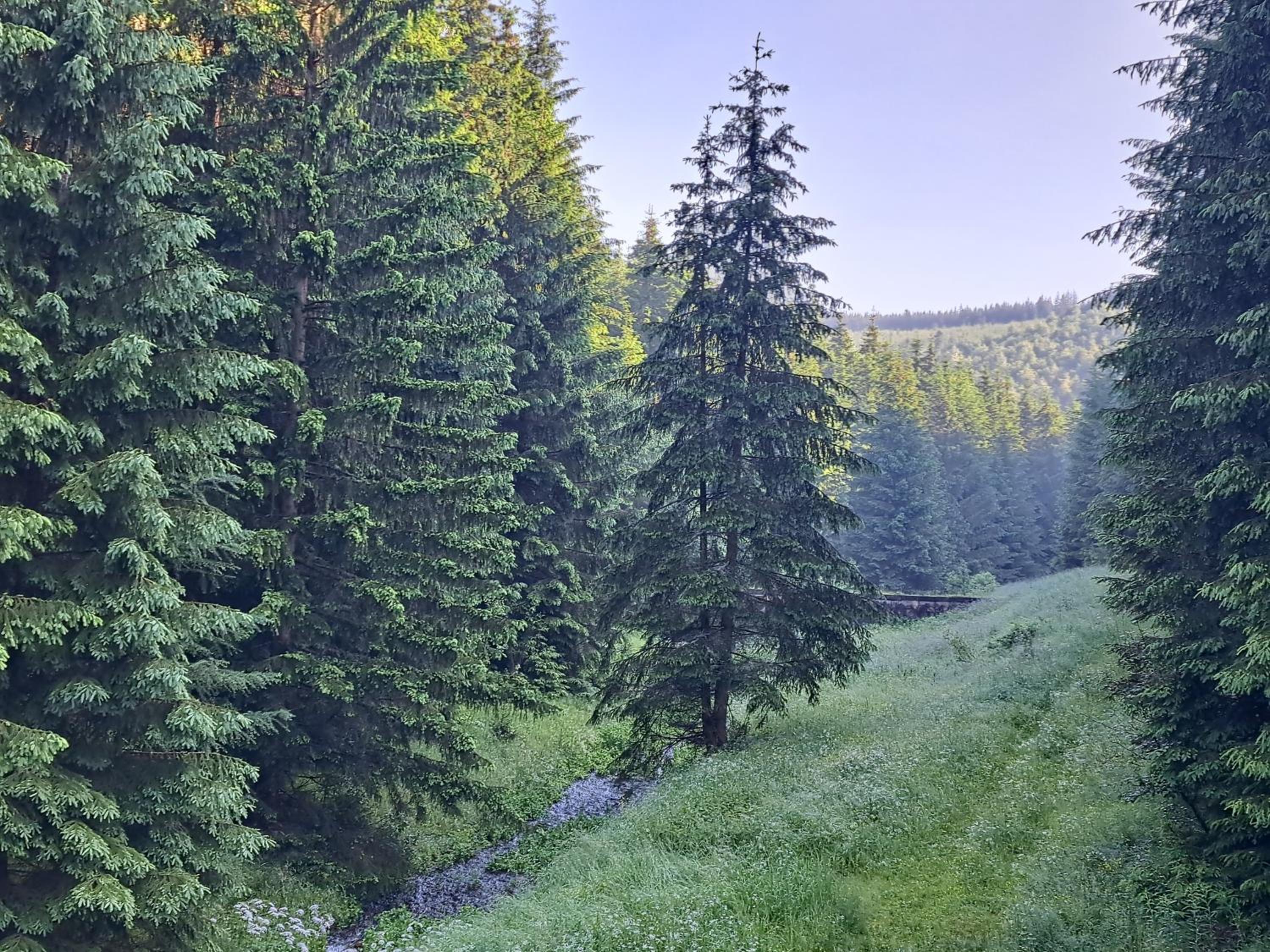 KRÁĽOVOHOĽSKÁ CHATA view 5
