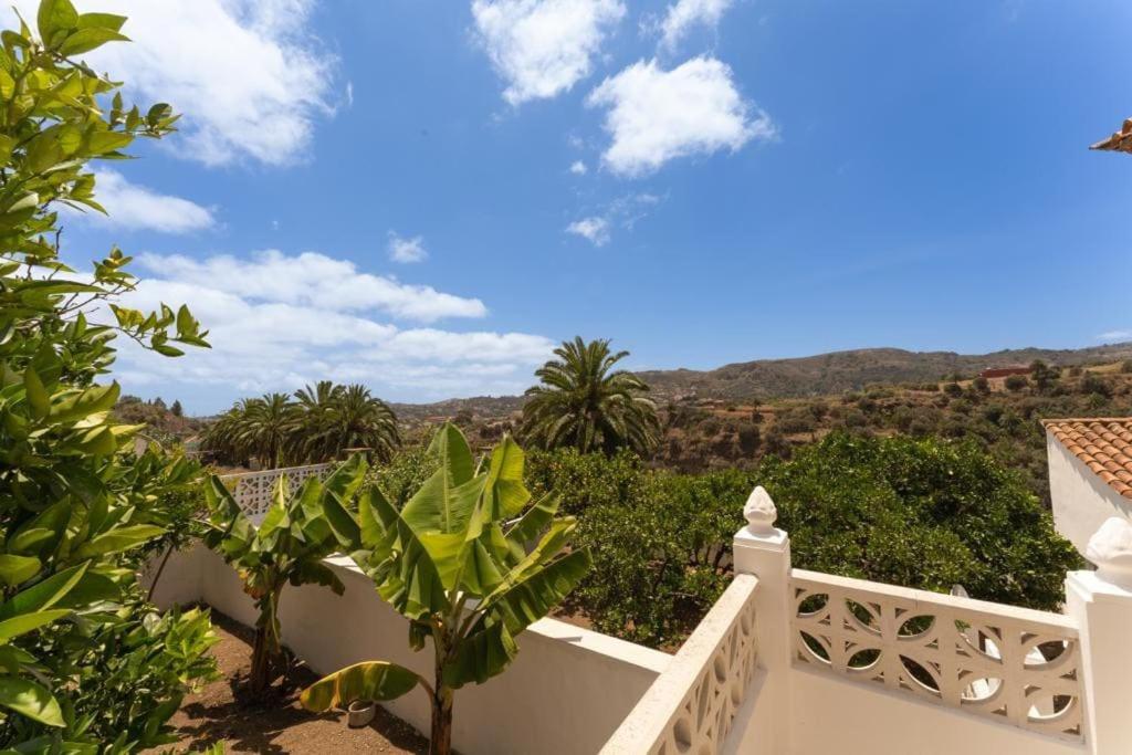 Finca Artiles