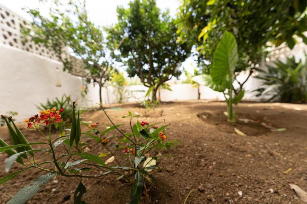 Finca Artiles