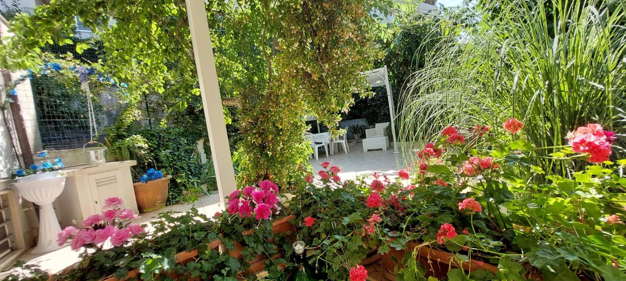 Casa di Sofia photo 3