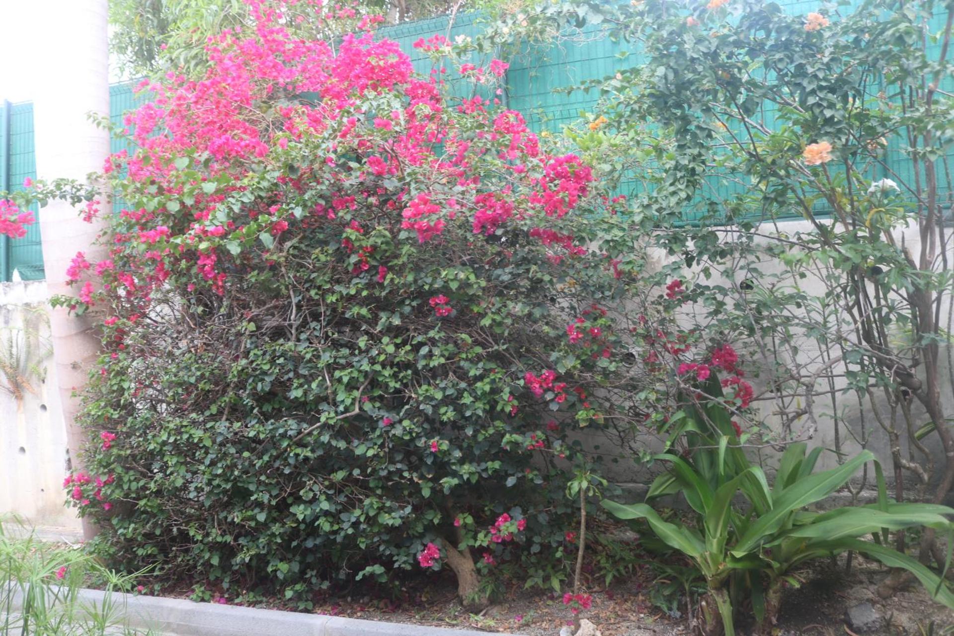 Photo 83