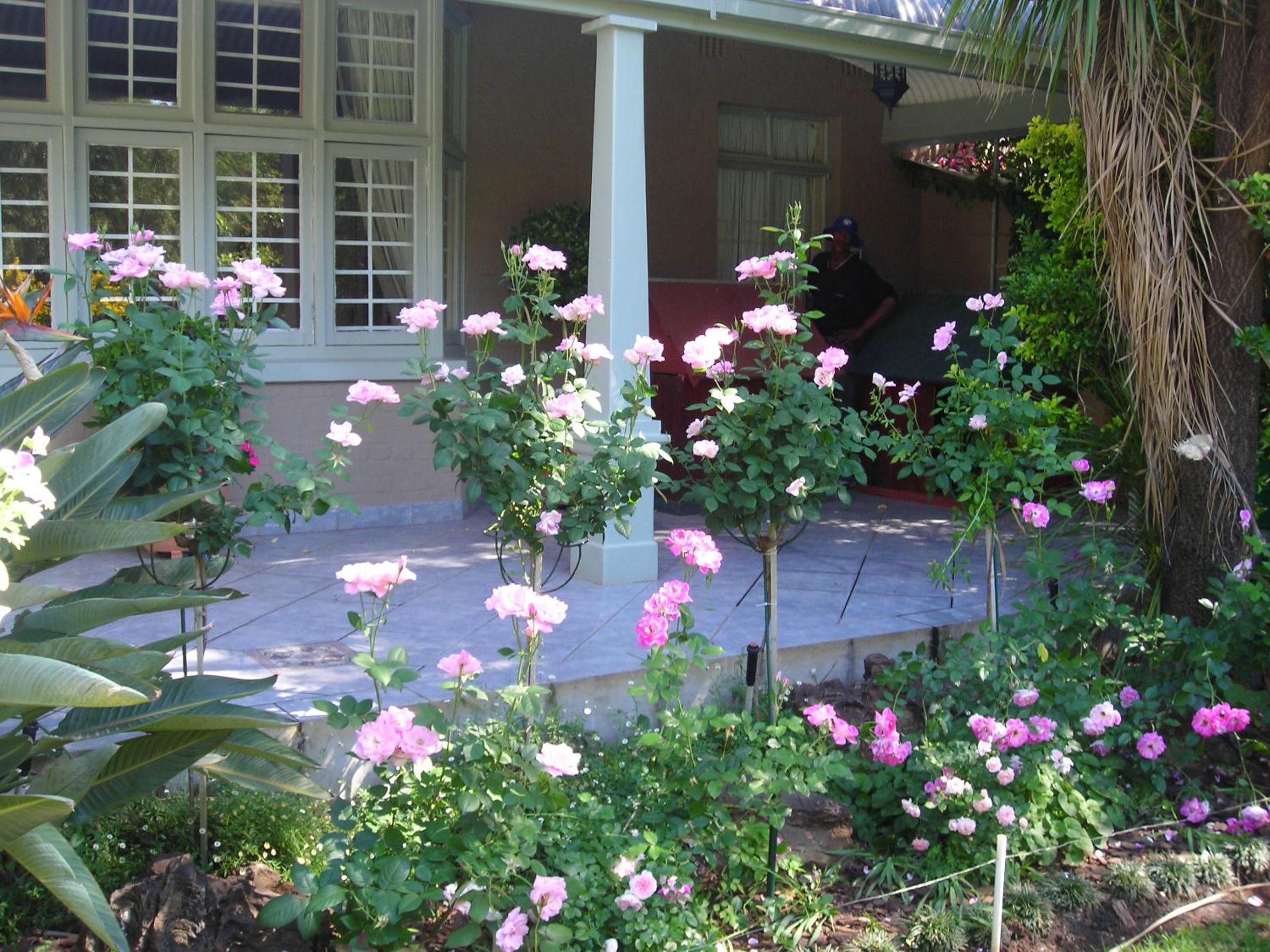 Oleander Guest House