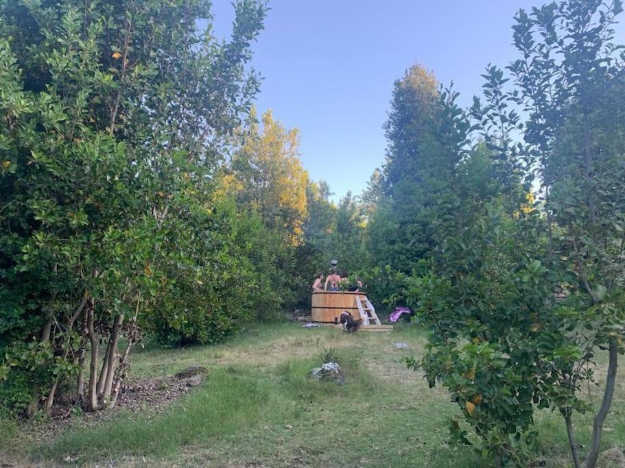 Maravillosa cabaña en la montaña, tranquilidad y calidez