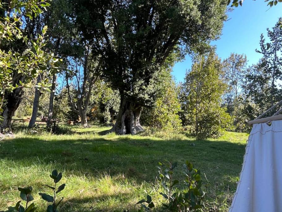 Maravillosa cabaña en la montaña, tranquilidad y calidez
