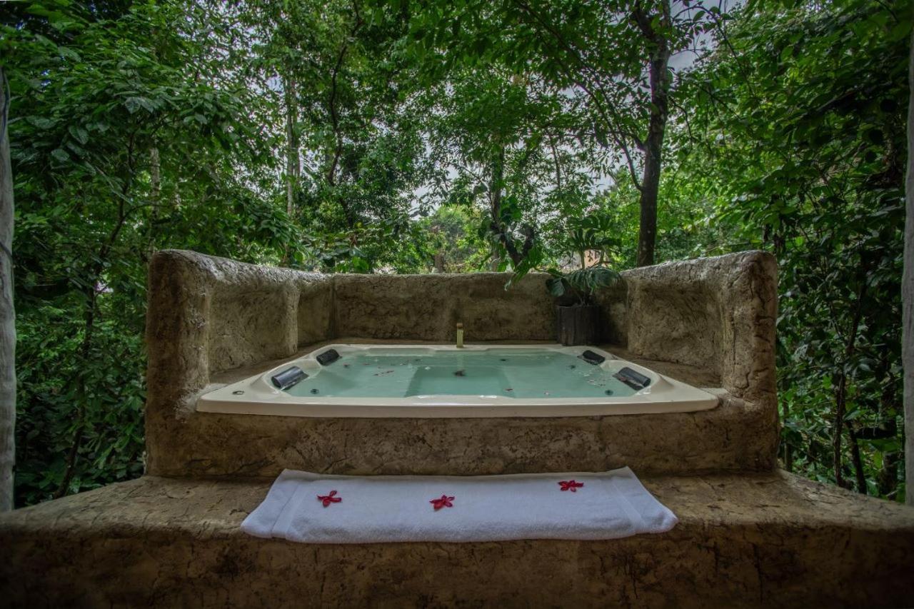 Arenal Ginger Home