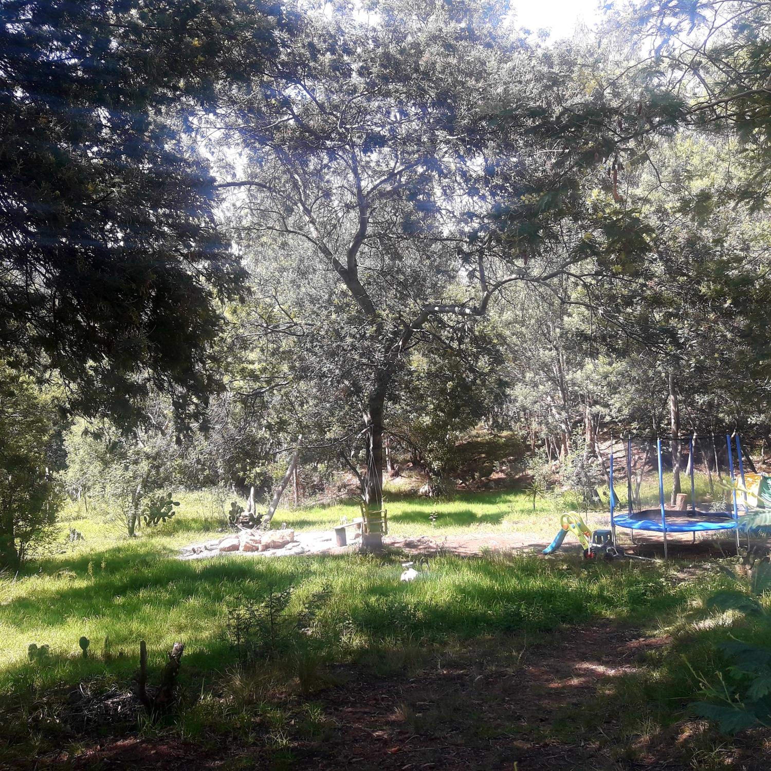 CABAÑA MÁGICA CUCUNUBA