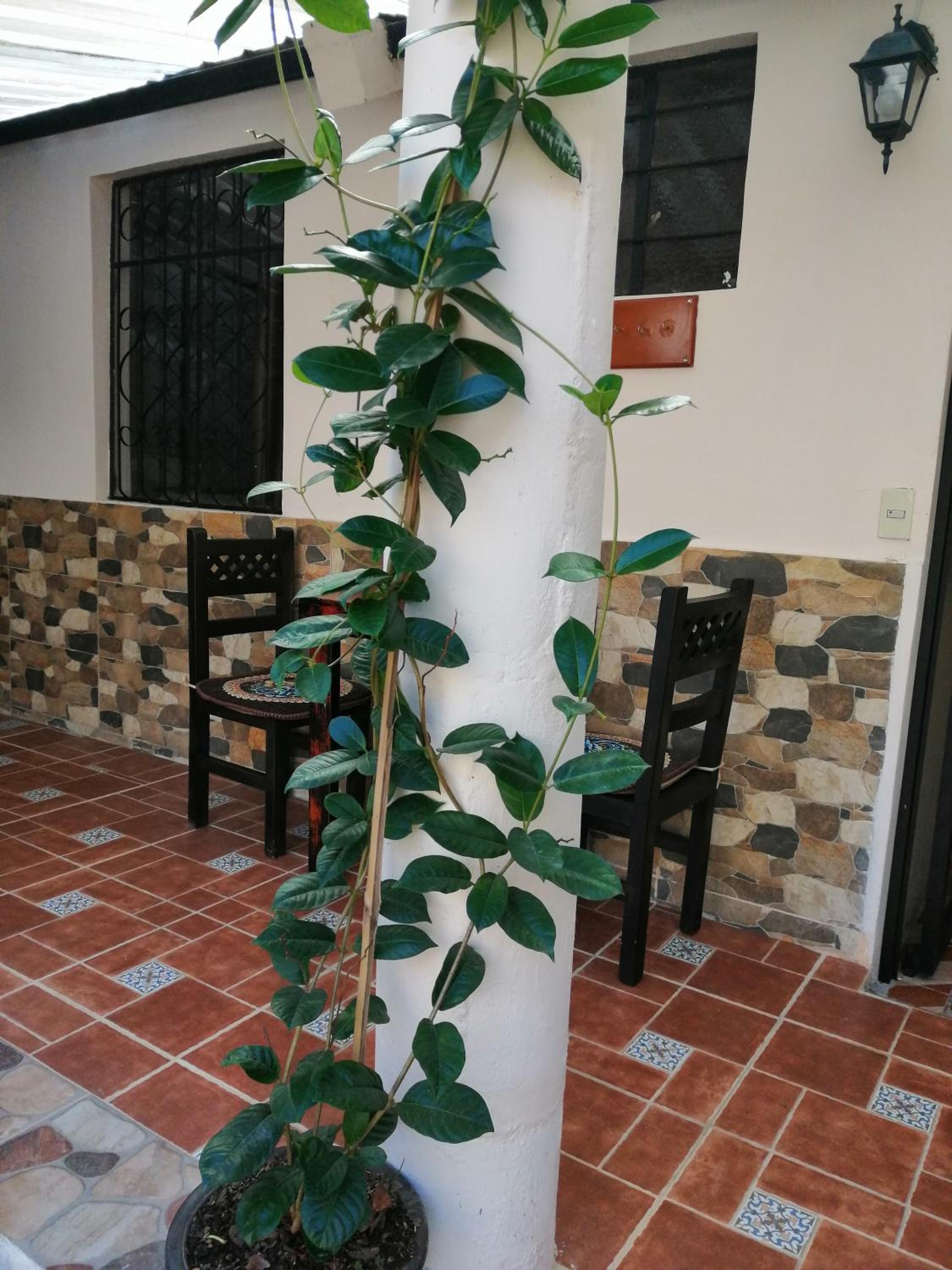 Photo 13