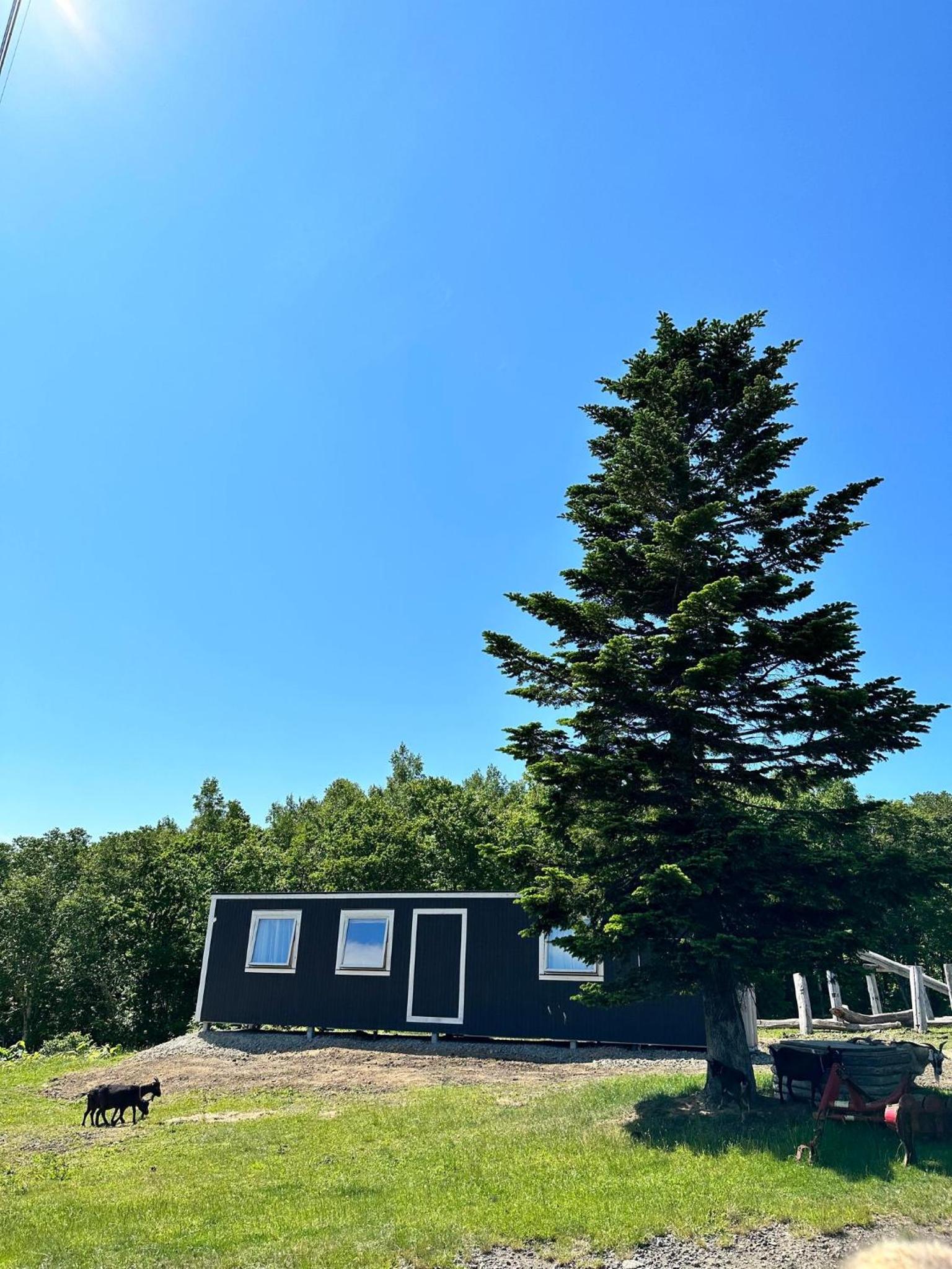 Margo's Garden Farmstay, Kiroro view 2