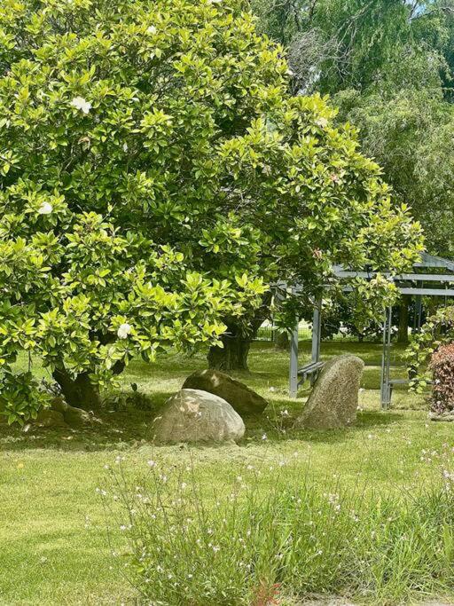 MAGNOLIA HOUSE ON THE CREEK - STANTHORPE