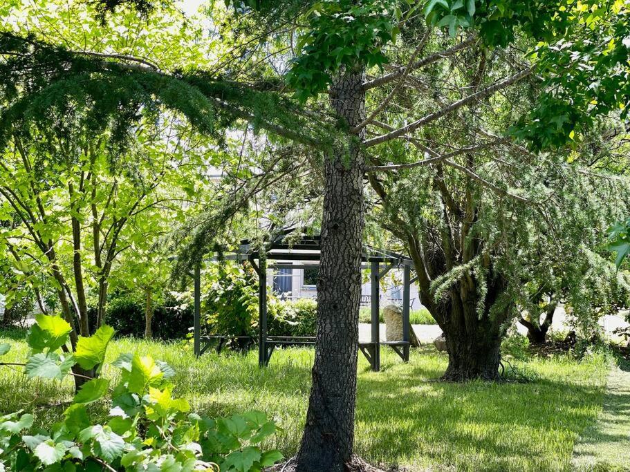 MAGNOLIA HOUSE ON THE CREEK - STANTHORPE