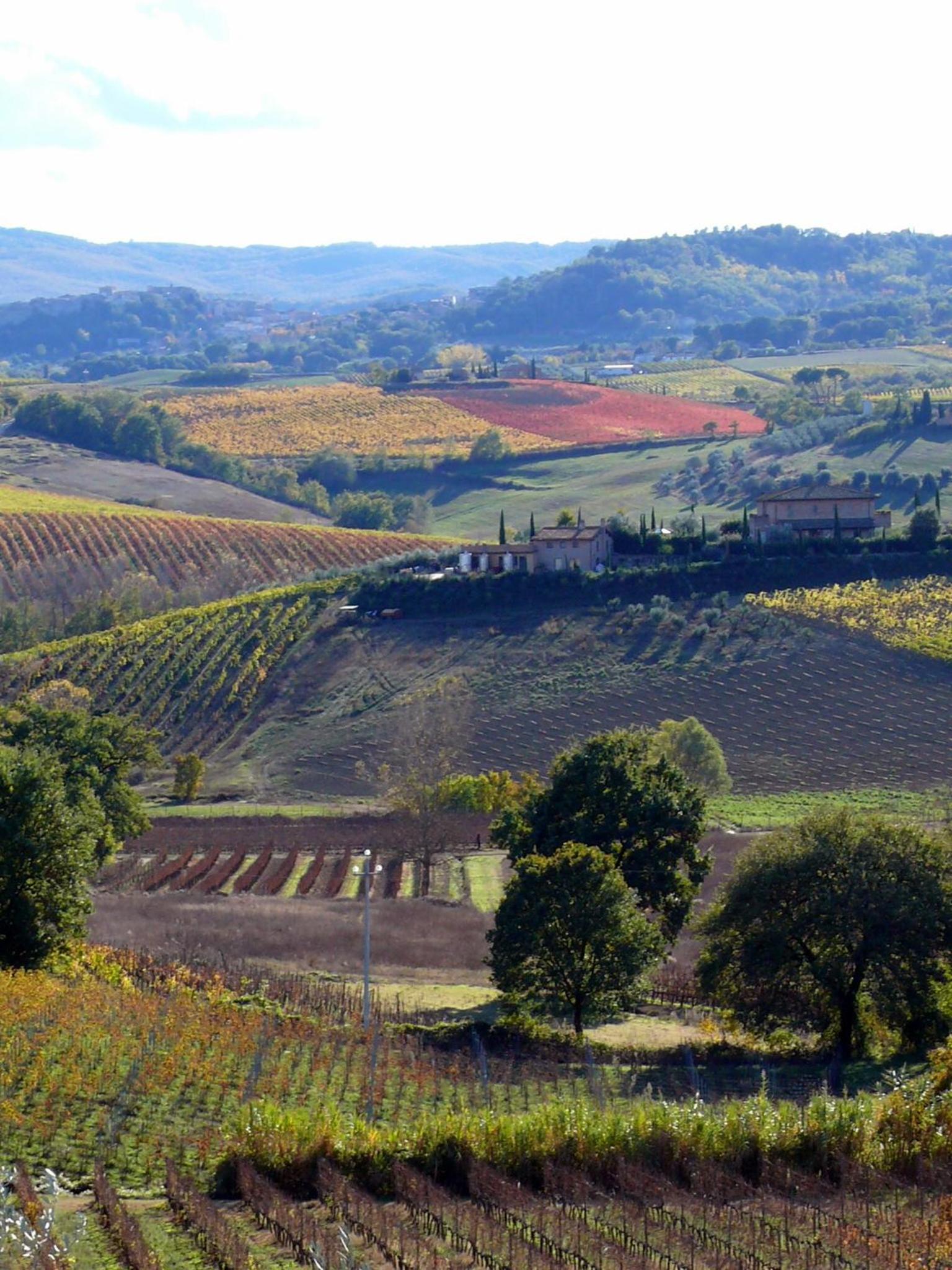 Agriturismo Metina