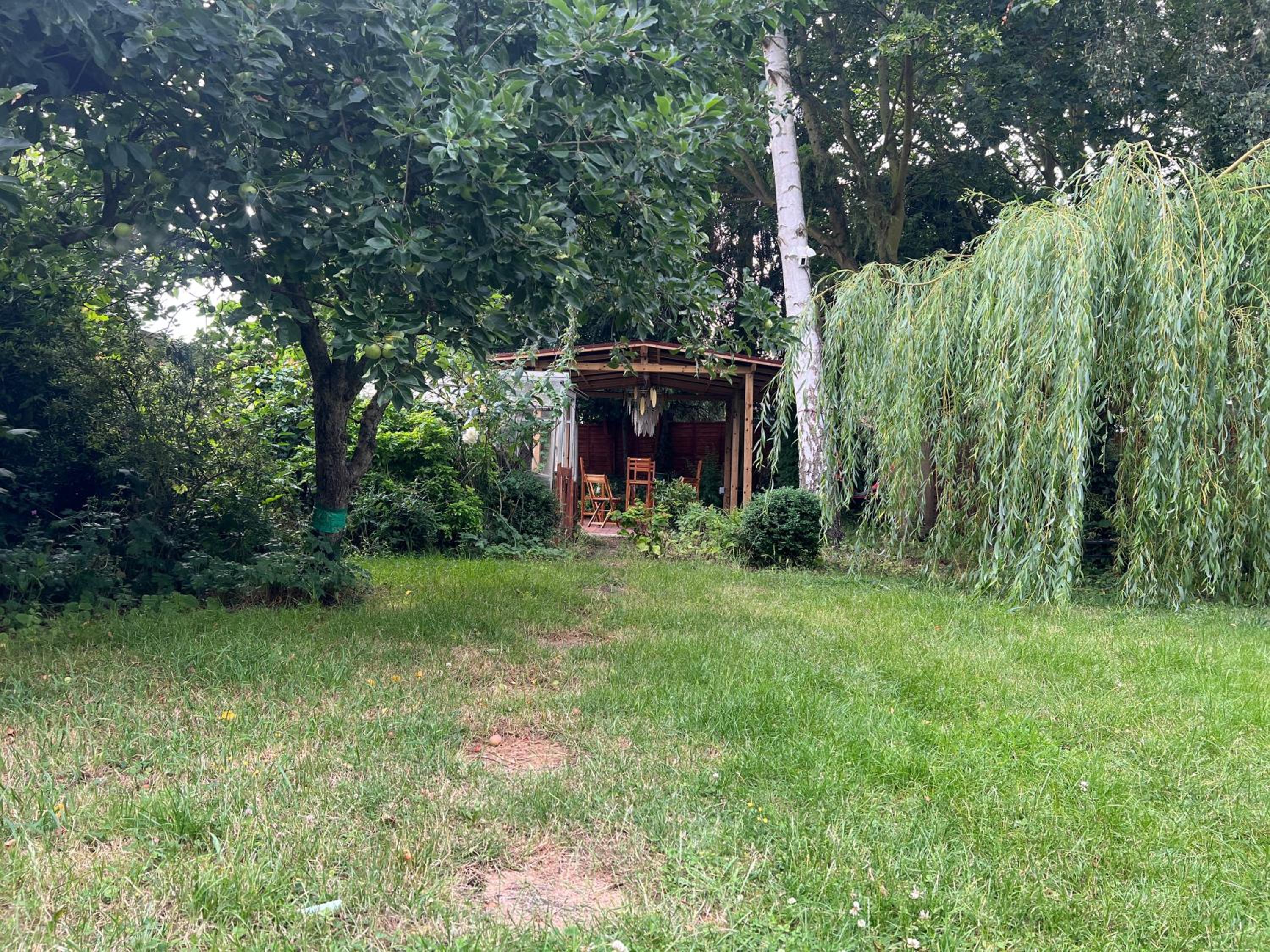 The Elegance, photo 22