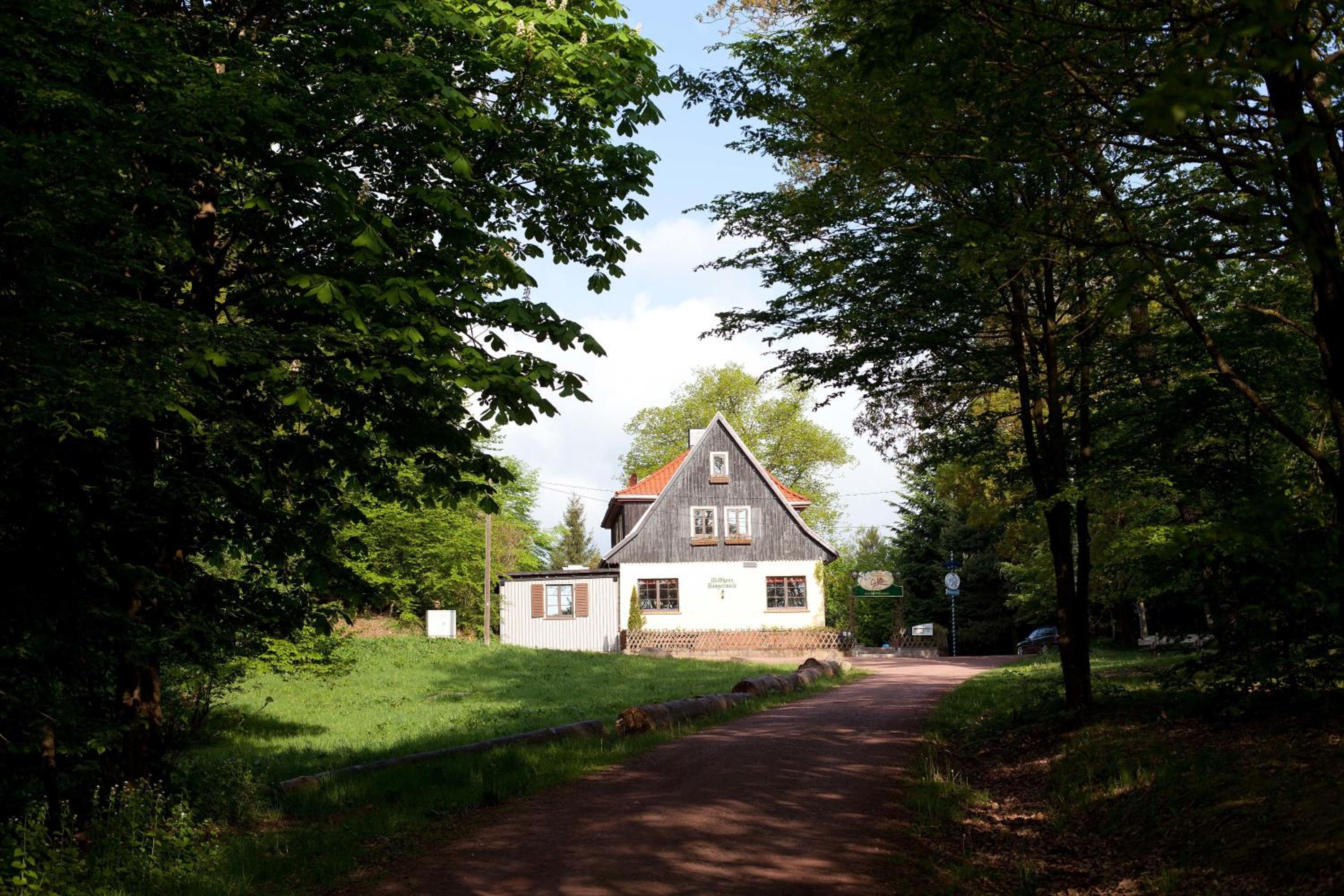 Photo 13