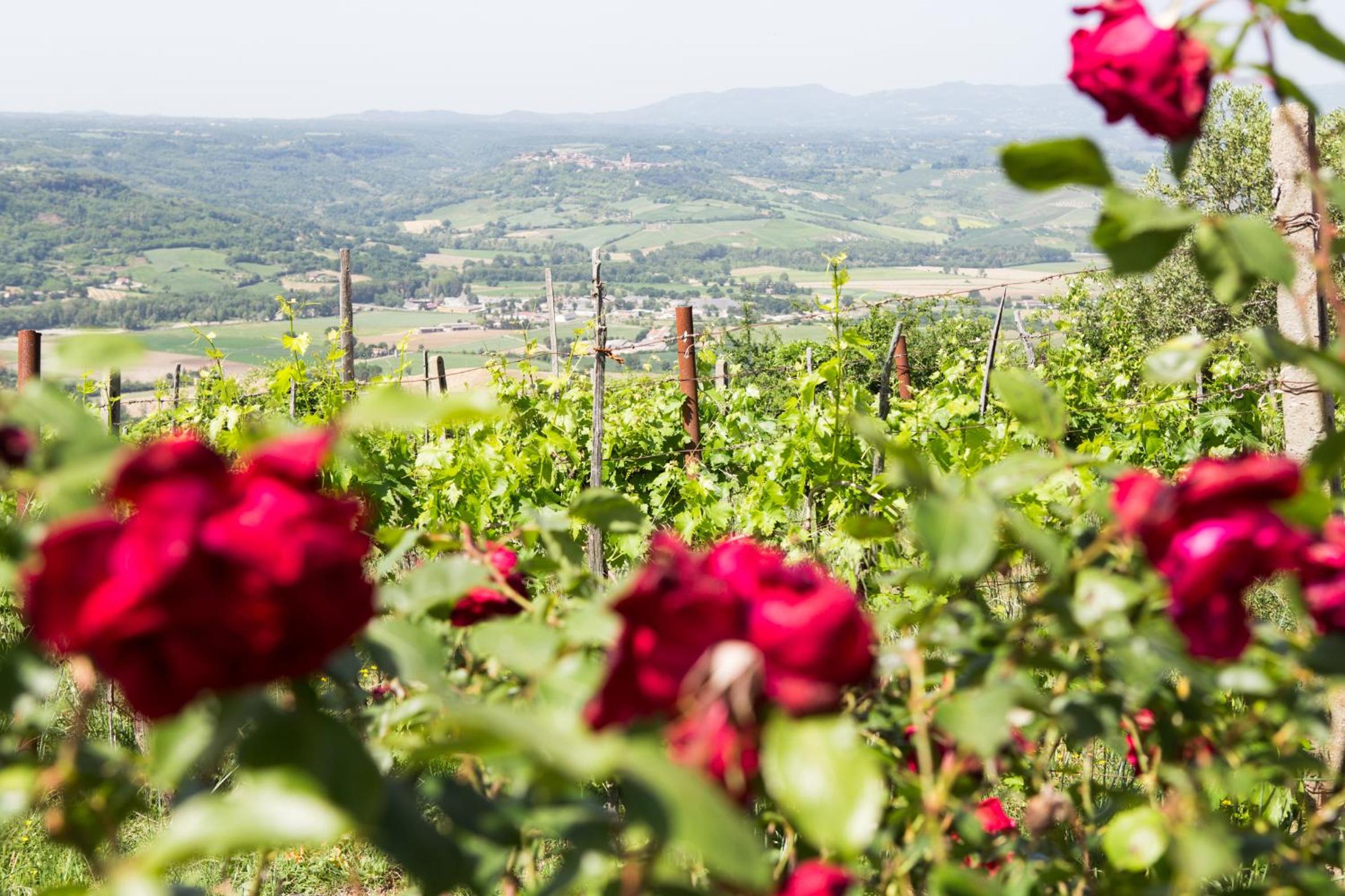 Casale Fornello view 4