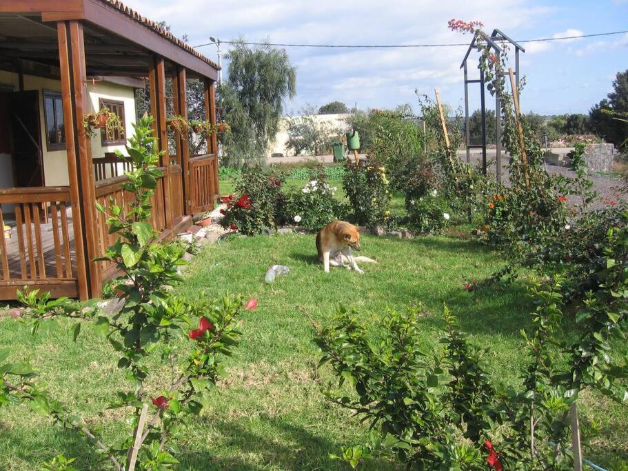 Photo 34